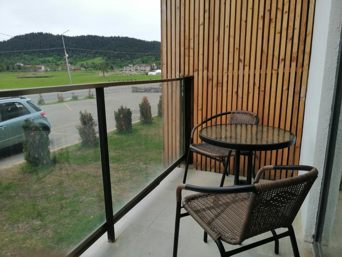 BAKURIANI PLAZA A-109 view 4