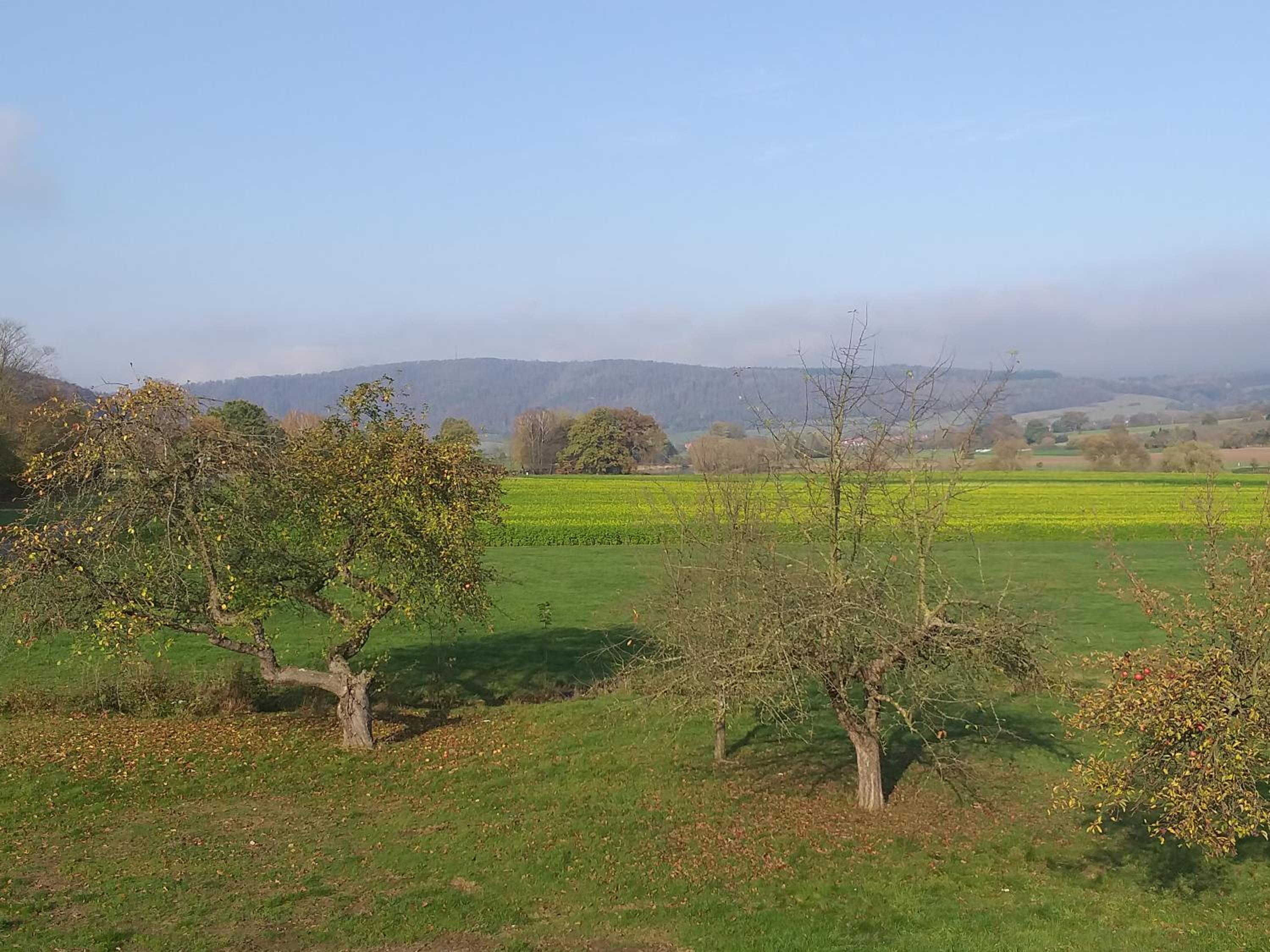 Ferienwohnungen Zum Lindenwirt - Property Image 11