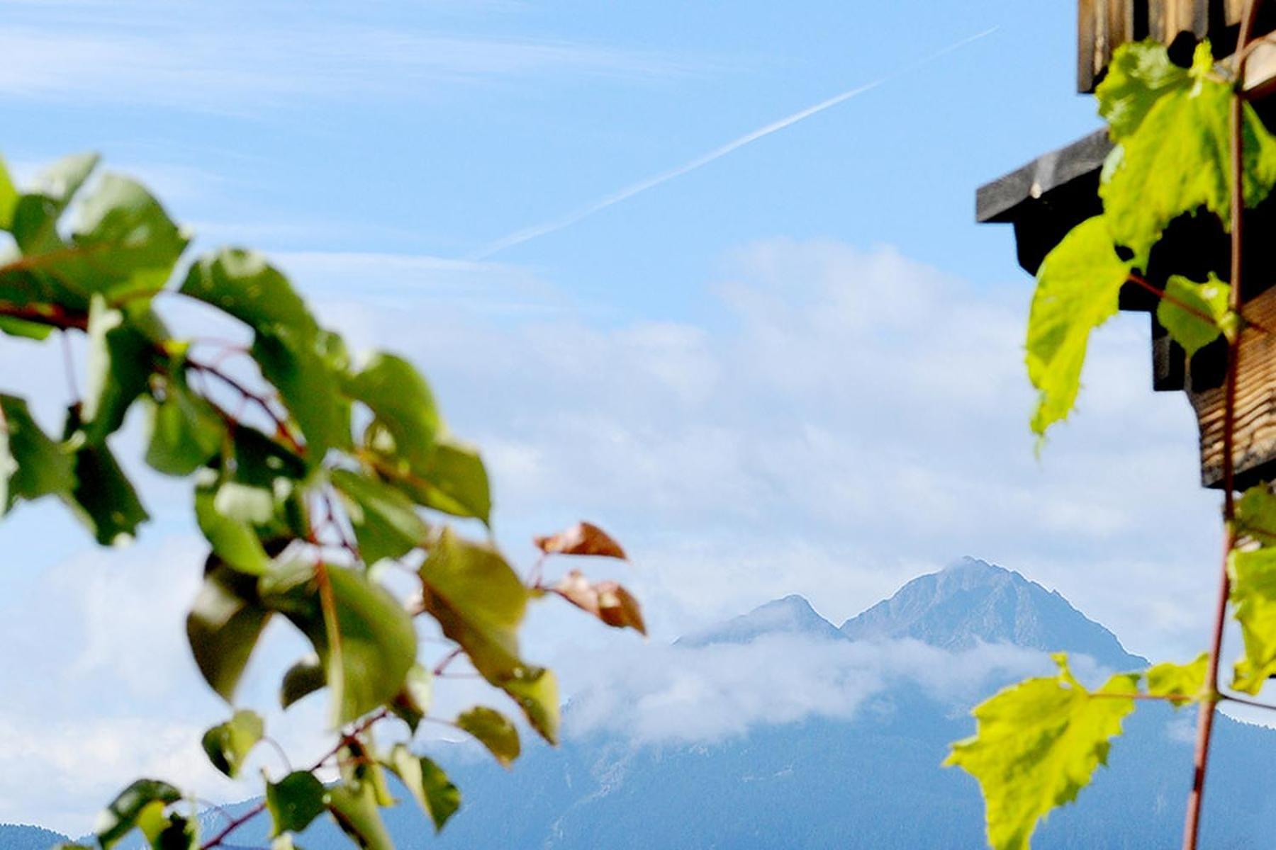 Ferienwohnung Sonnenblume Nusserhof view 5