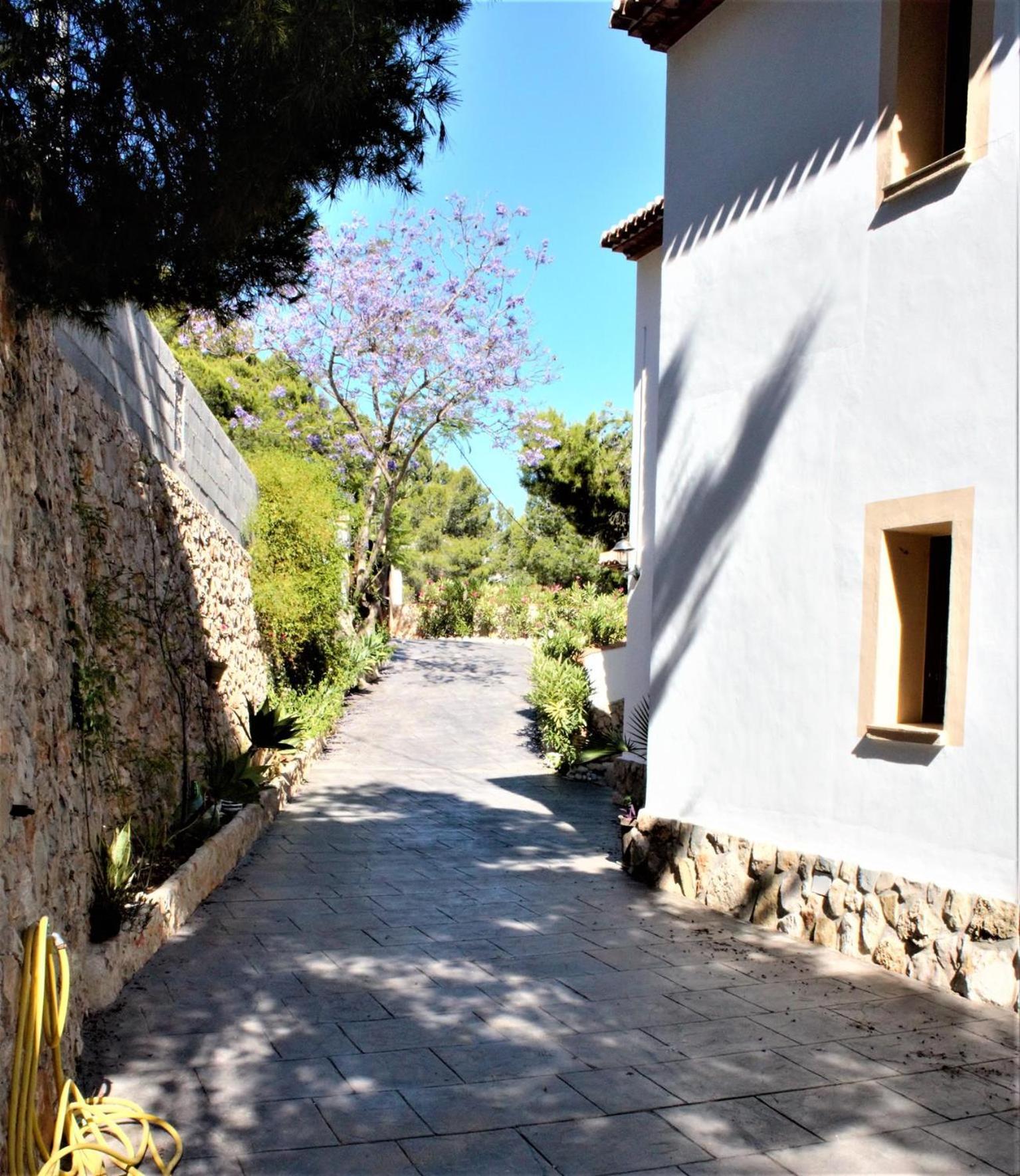 Photo 6