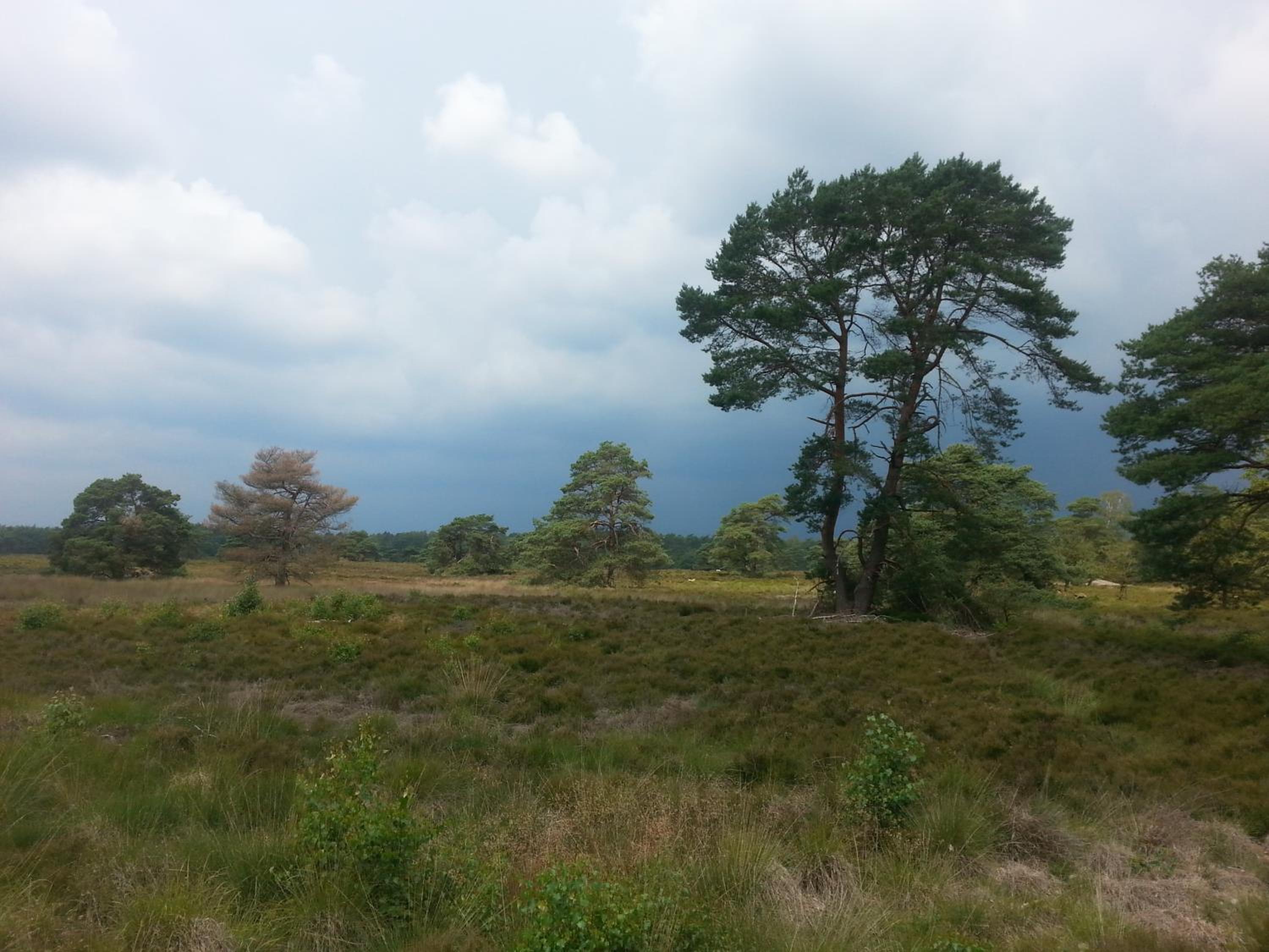 Wagenschuur view 5