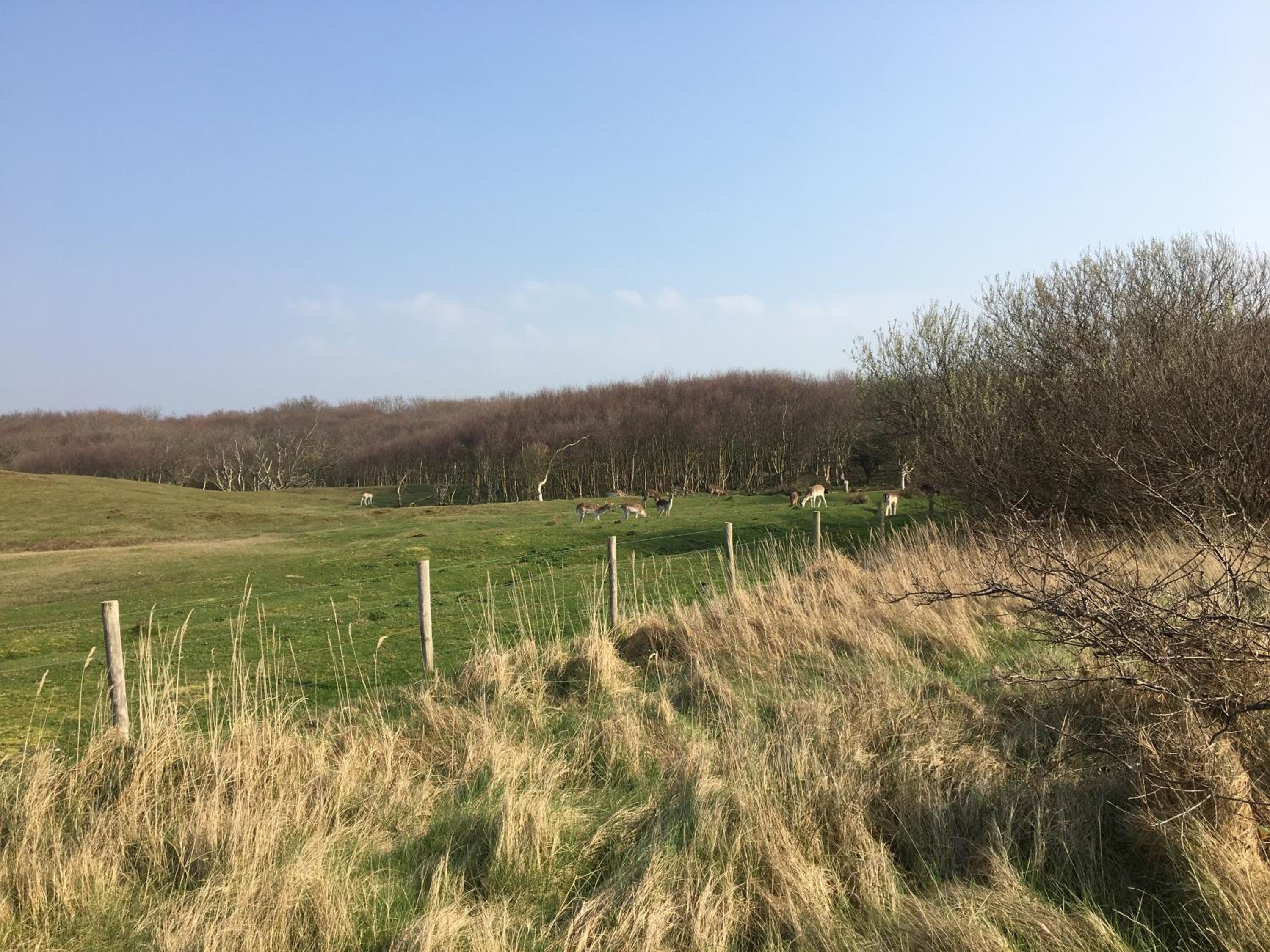 Holiday Home Beo view 4