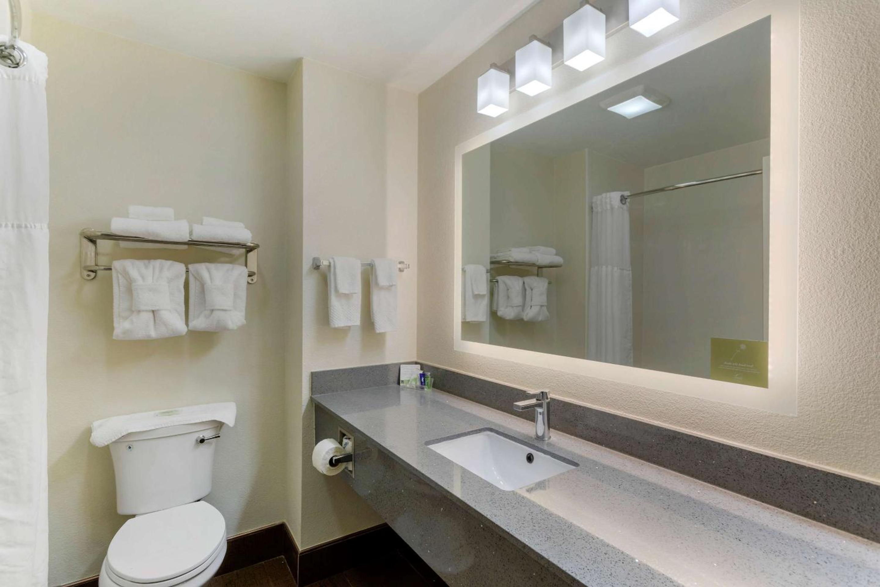 Smyrna Vacations - Sleep Inn Suites Smyrna - Nashville - Property Image 39