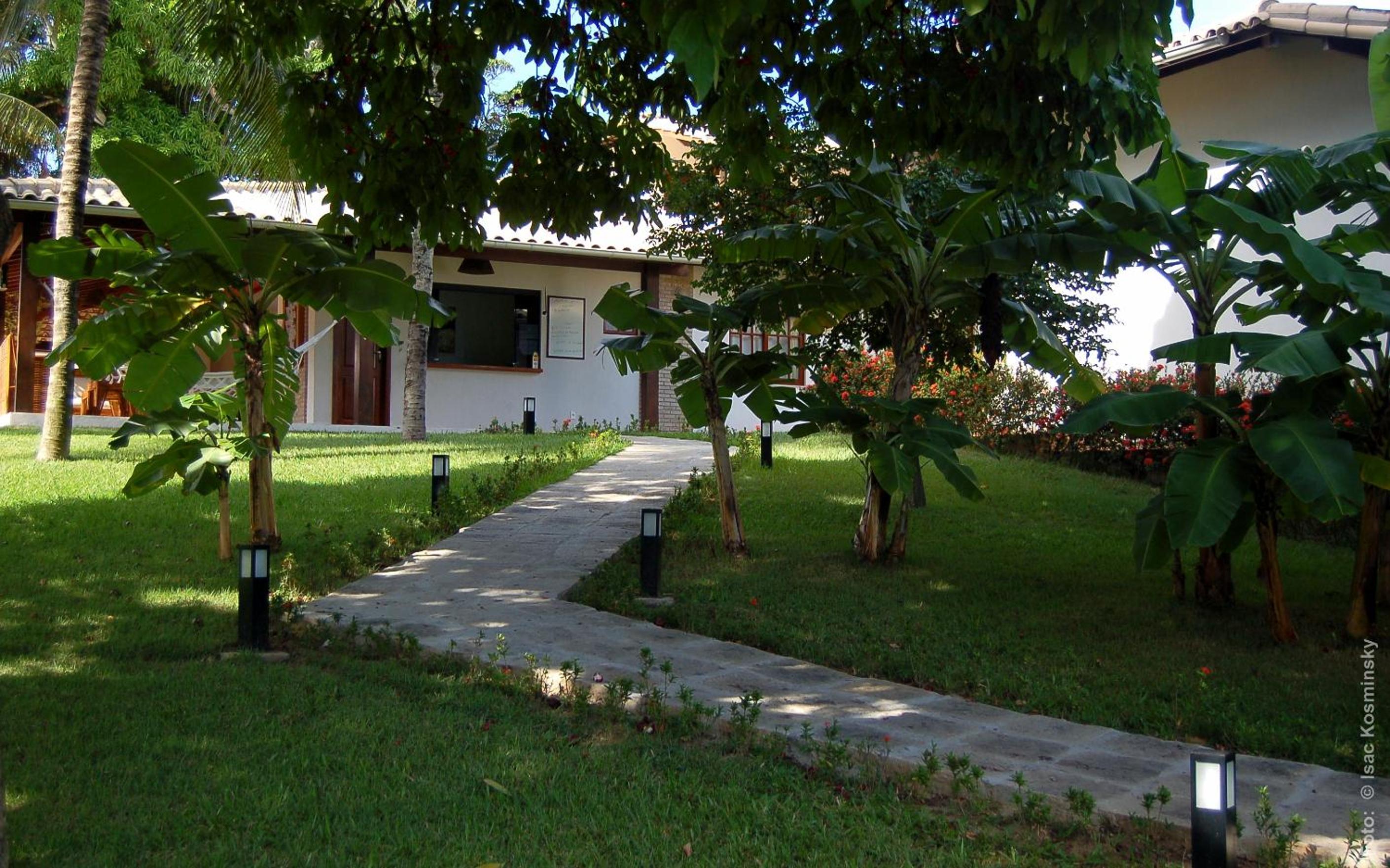 Photo 20