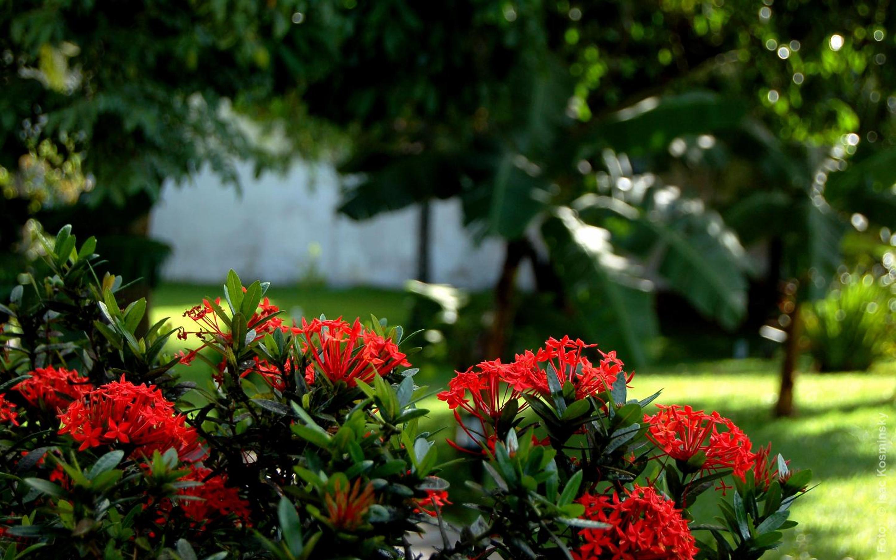 Photo 49
