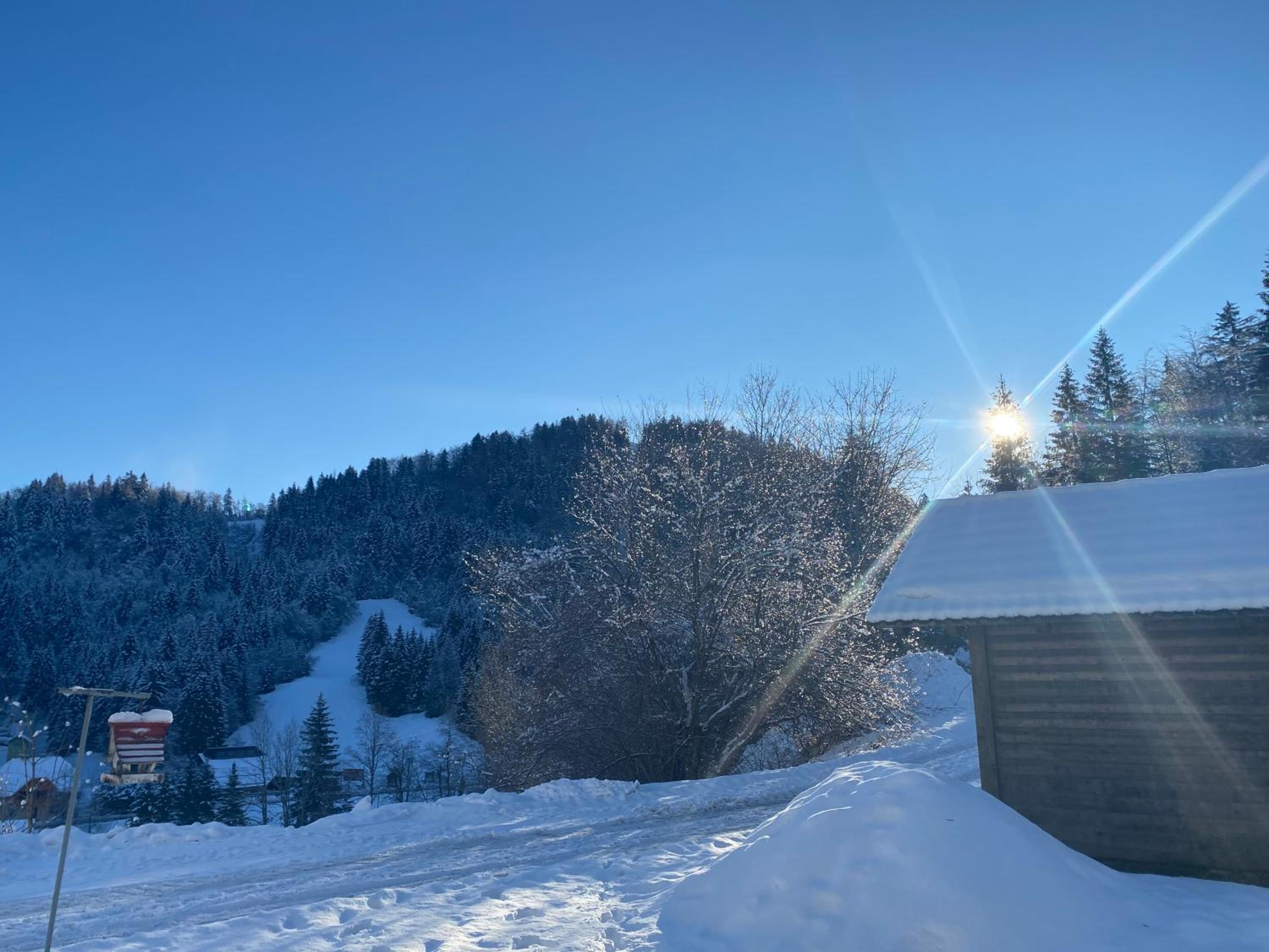 Apartma Jure view 3