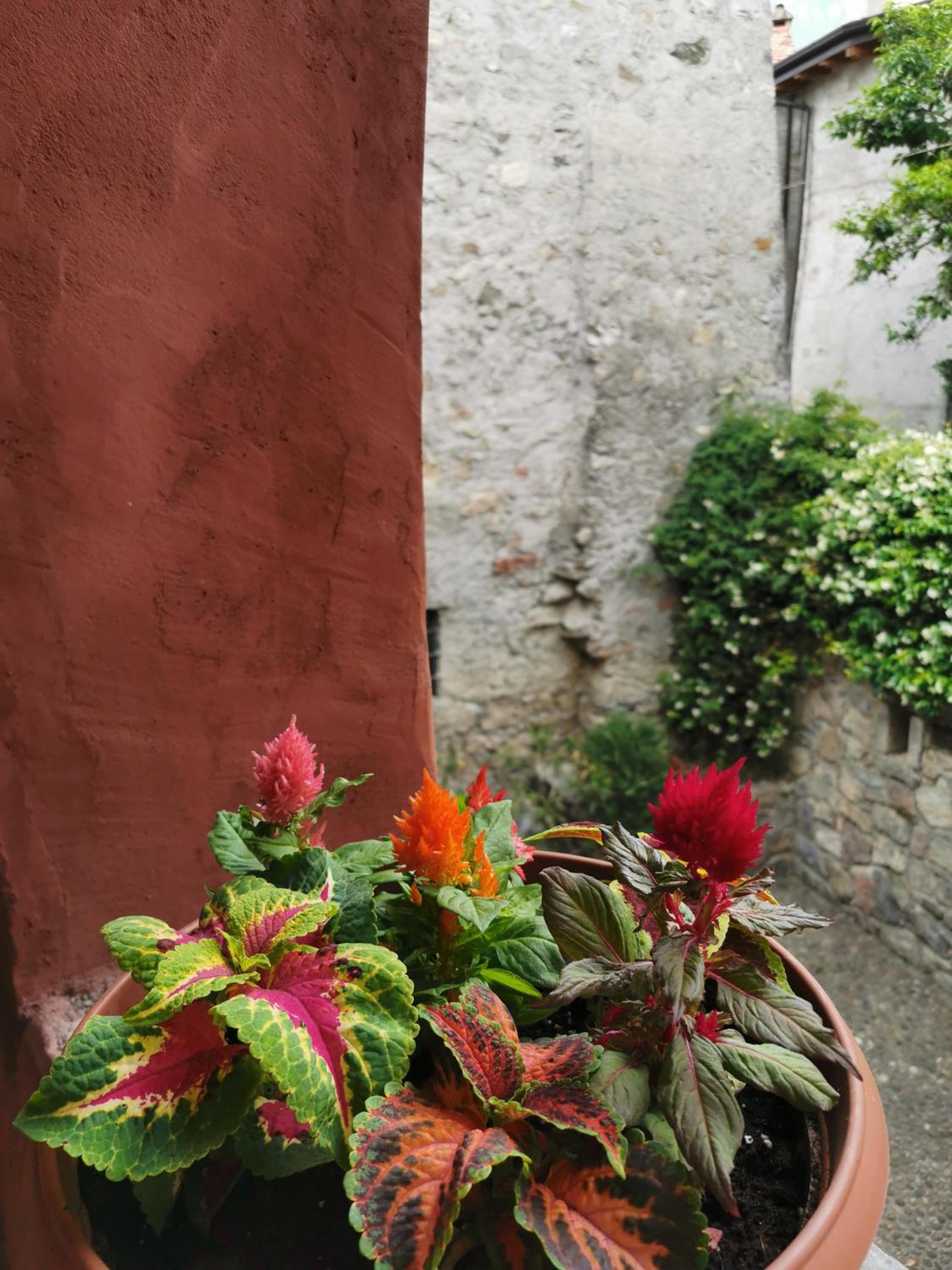 Alla Torre del Barbarossa B&B FORESTERIA view 2