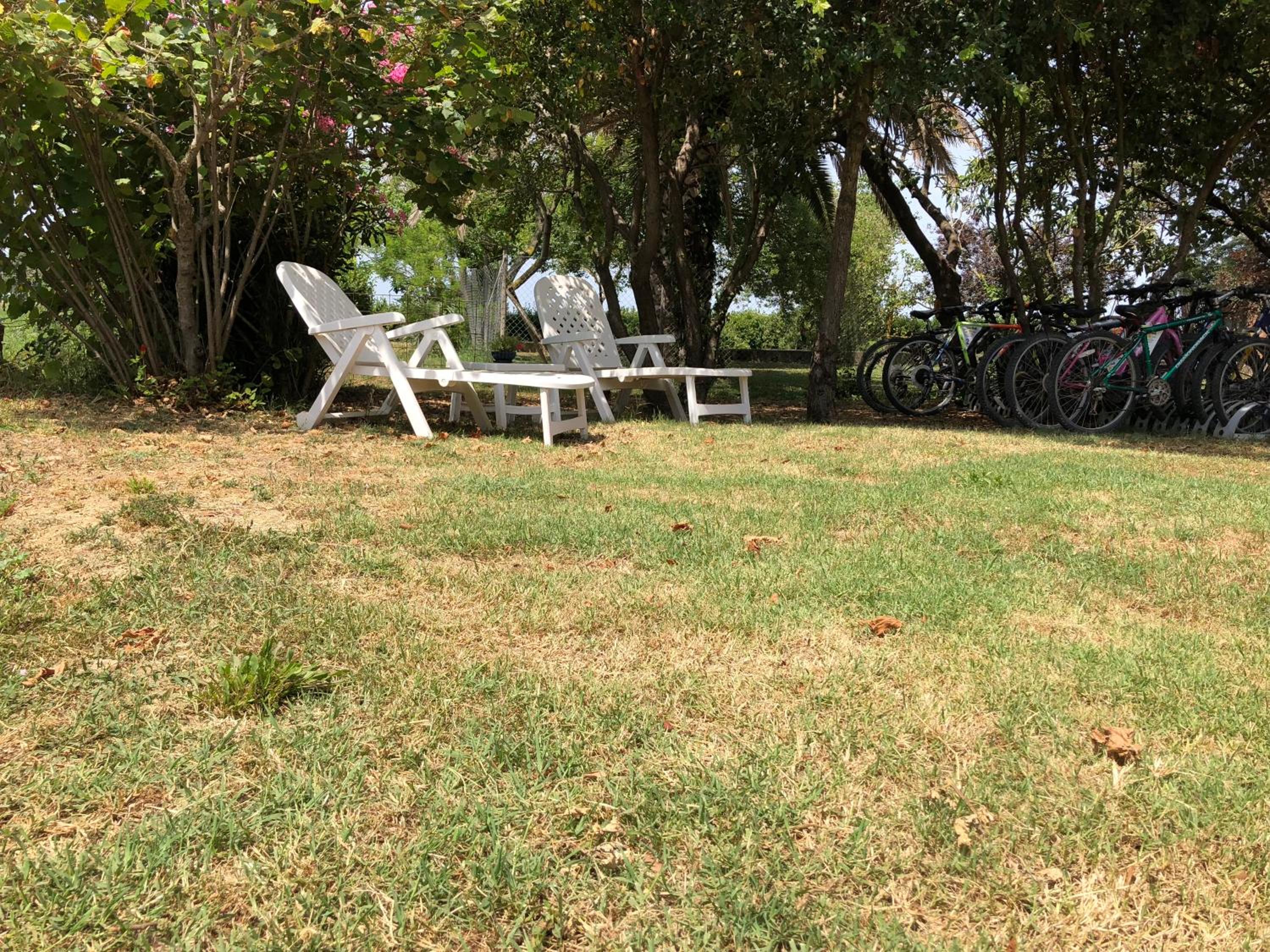 Photo 38