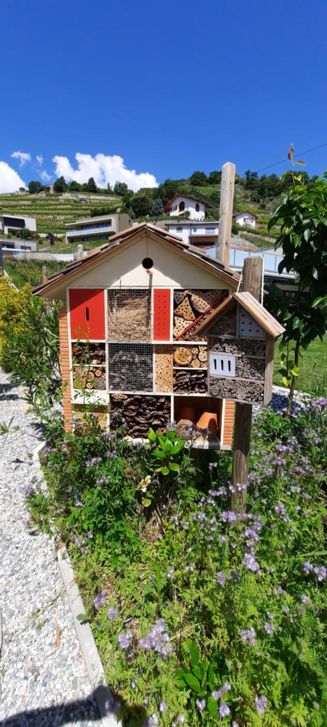 Guesthouse Petit Pré