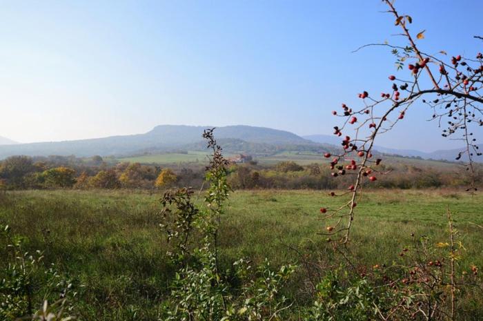 Zöldház magánszállás view 3
