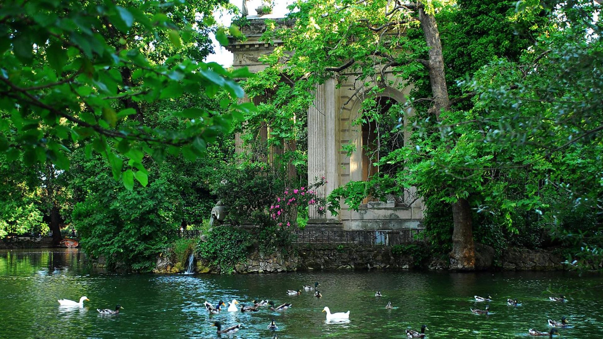 Sunny Rome Parioli Modern Studio
