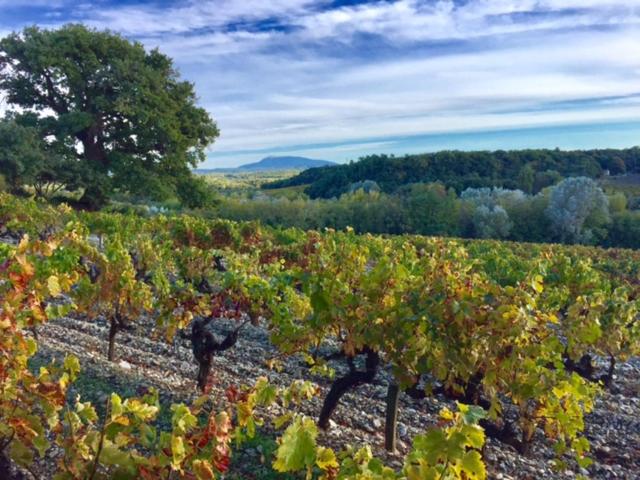 Le Clos de la Tuilière view 3