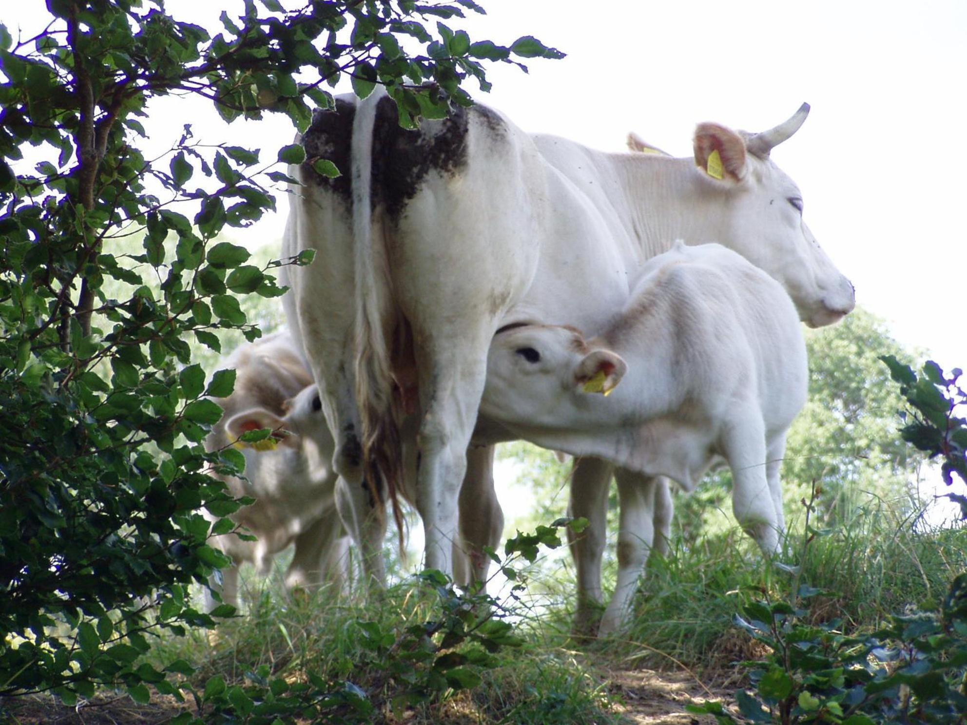 Lago Secco Bed & Breakfast Country House photo 5