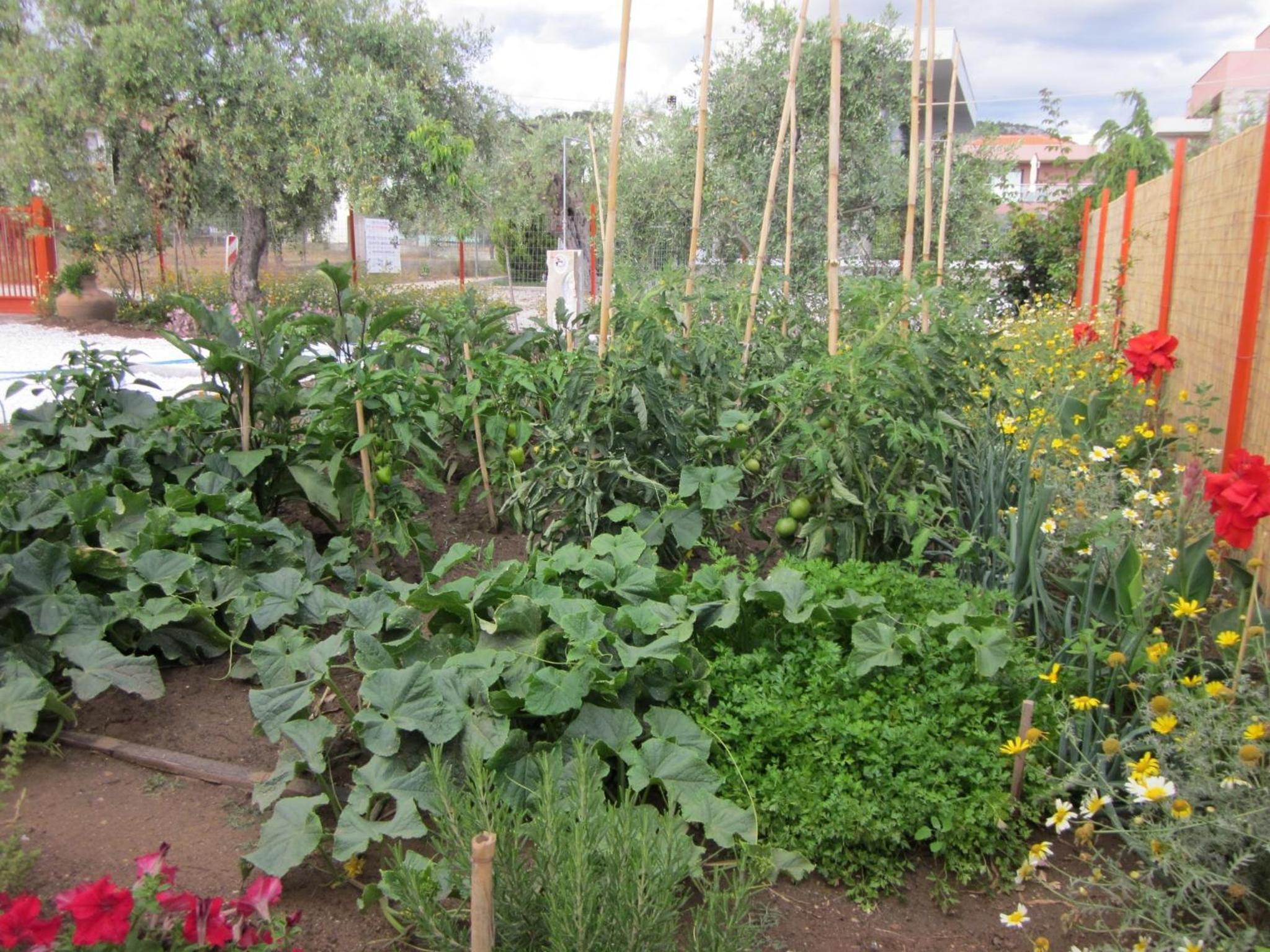Photo 26
