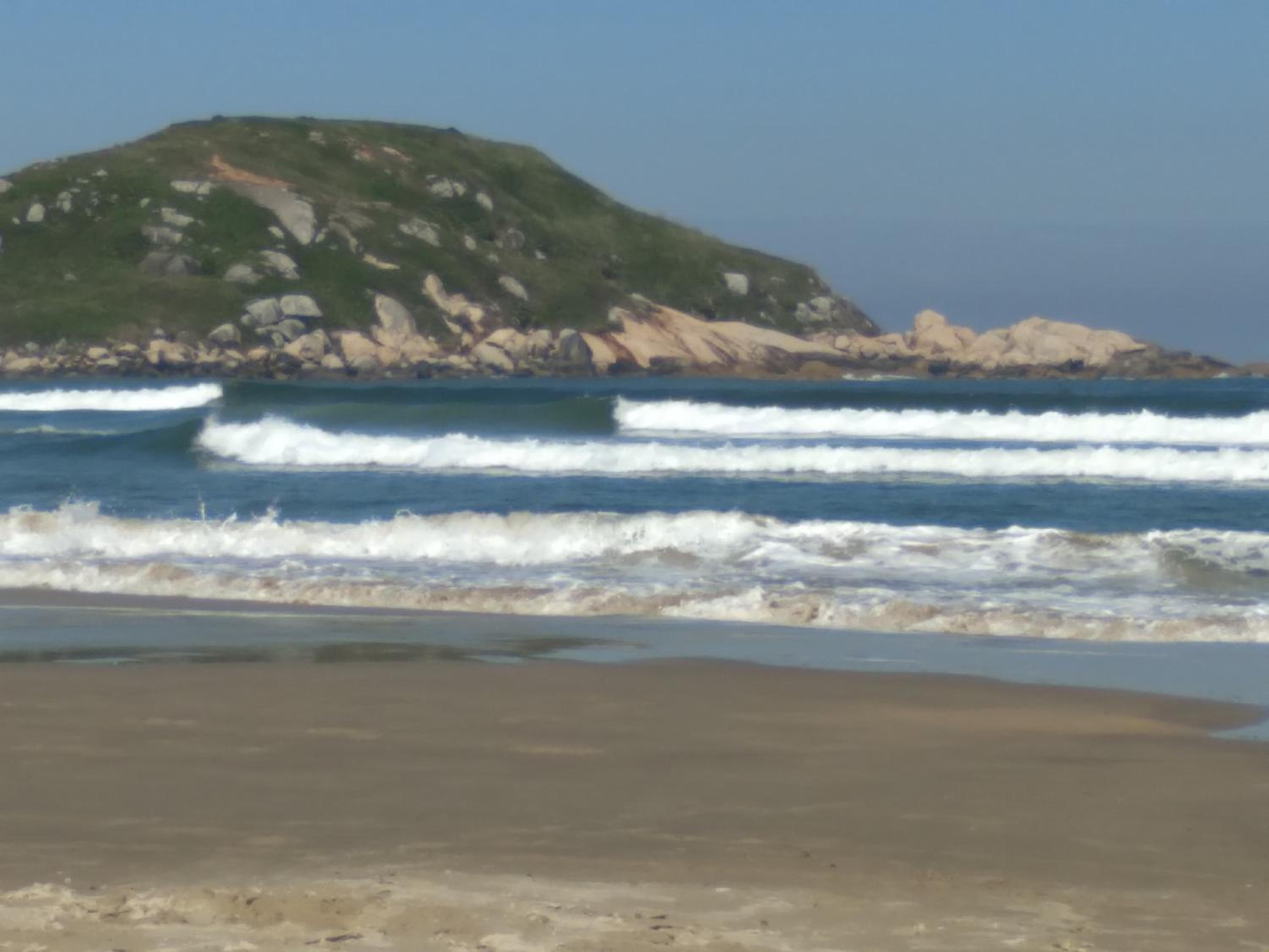 Studio Baleia Franca
