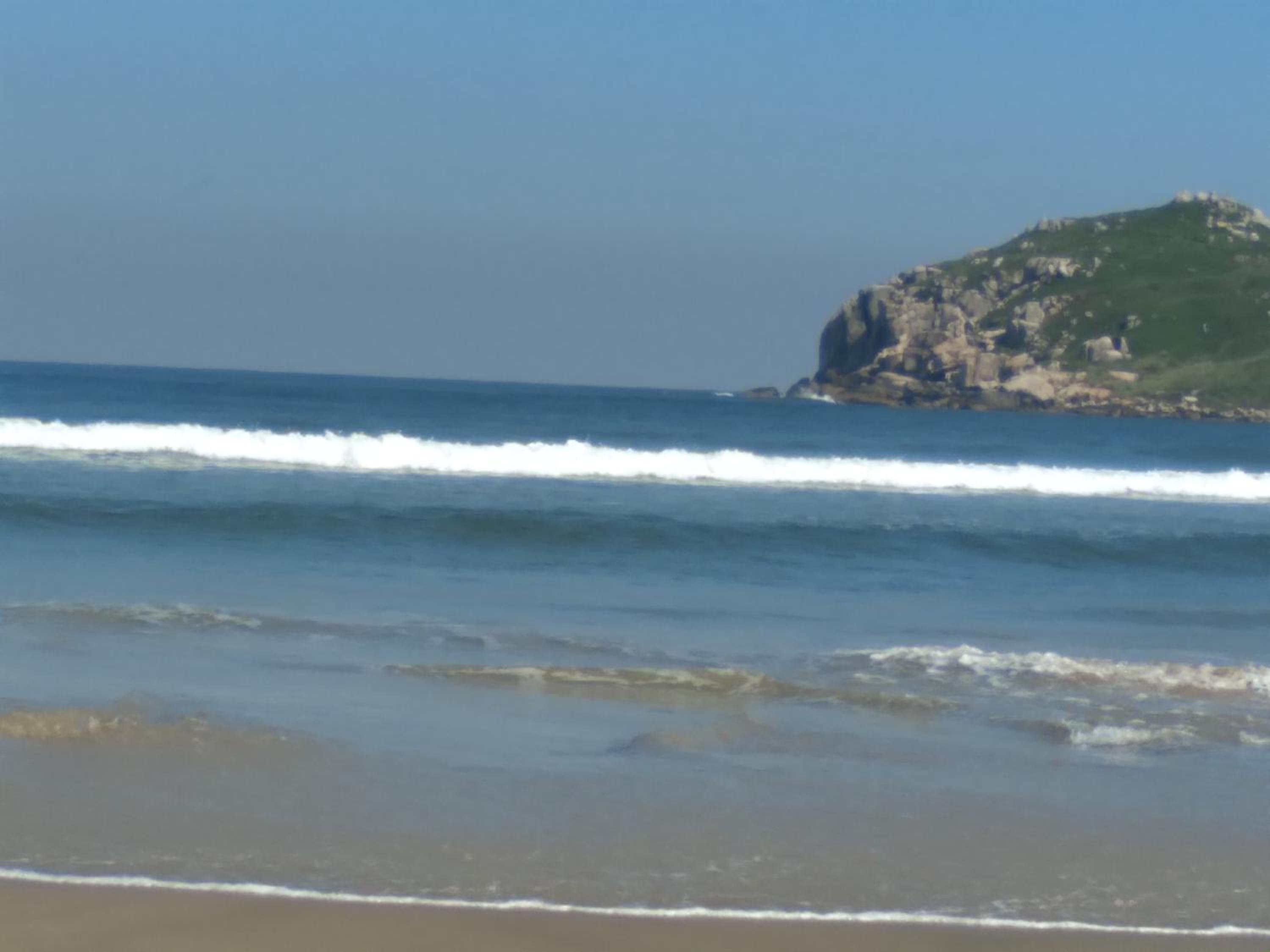 Studio Baleia Franca