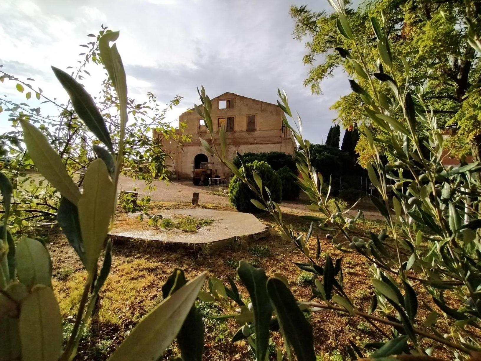 Photo 21
