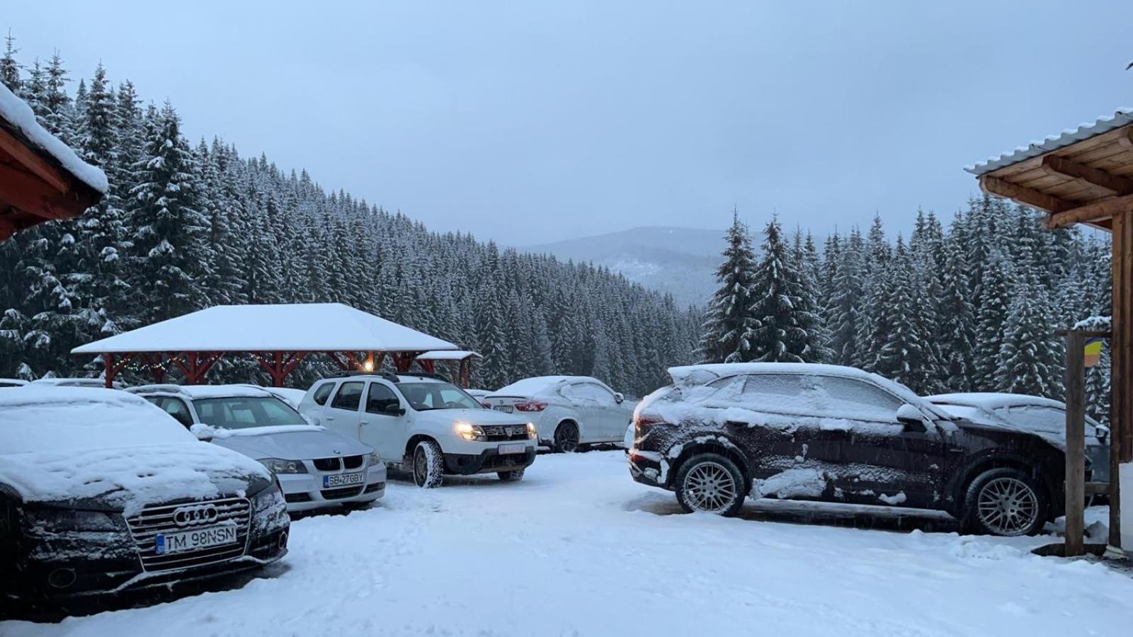 Cabana Cerbul-Oasa-Transalpina