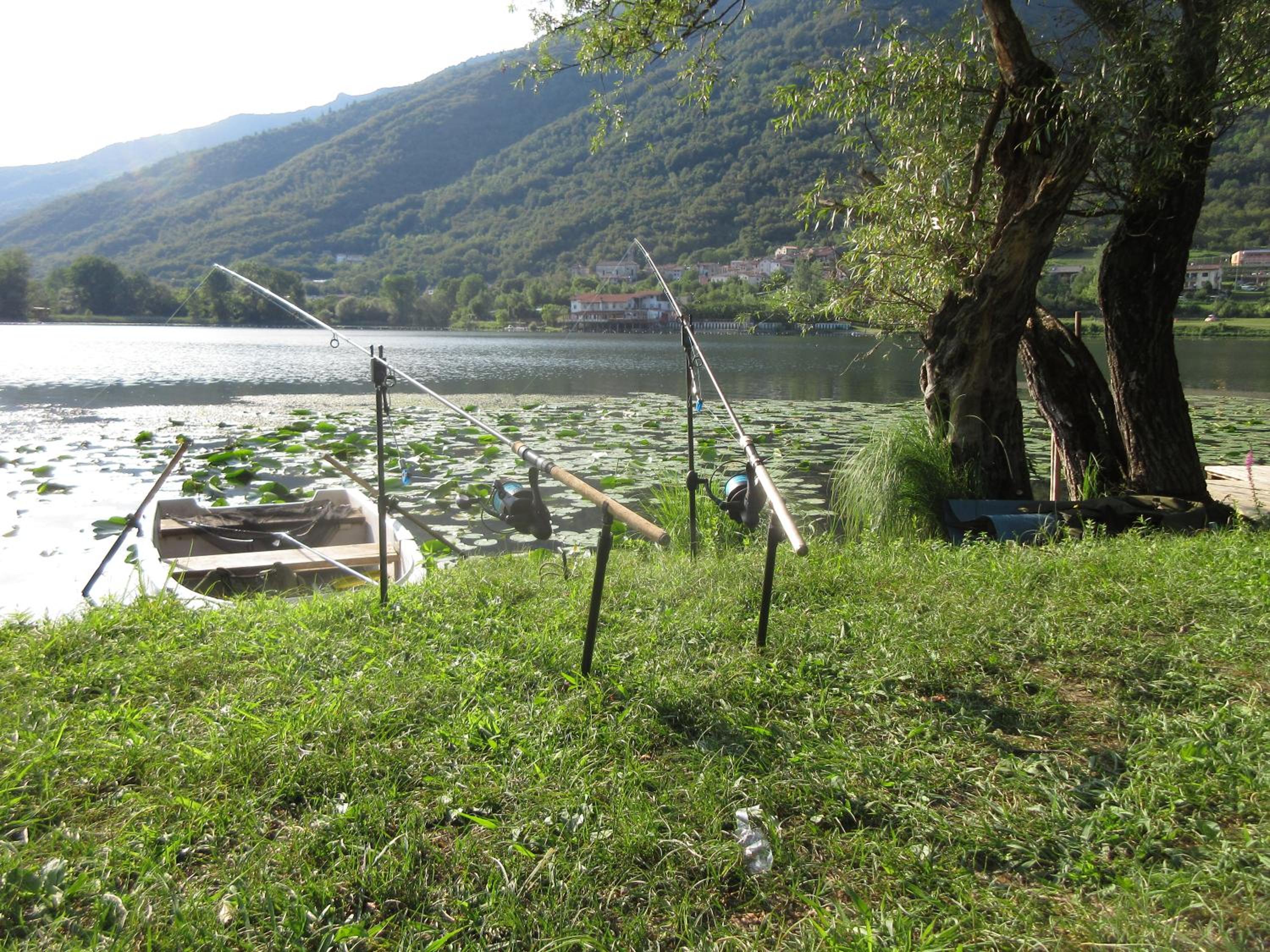 Photo 26