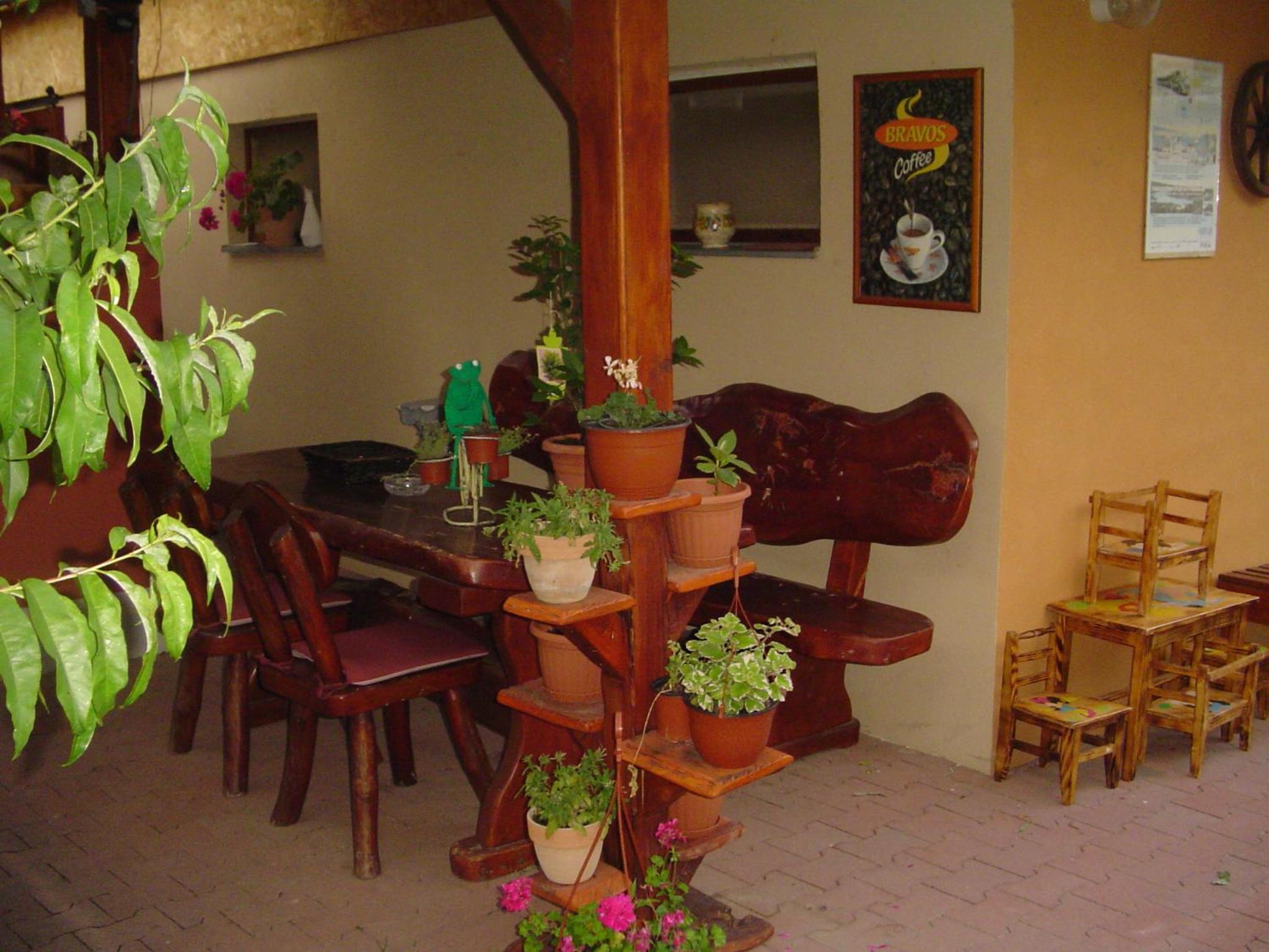 Photo 8