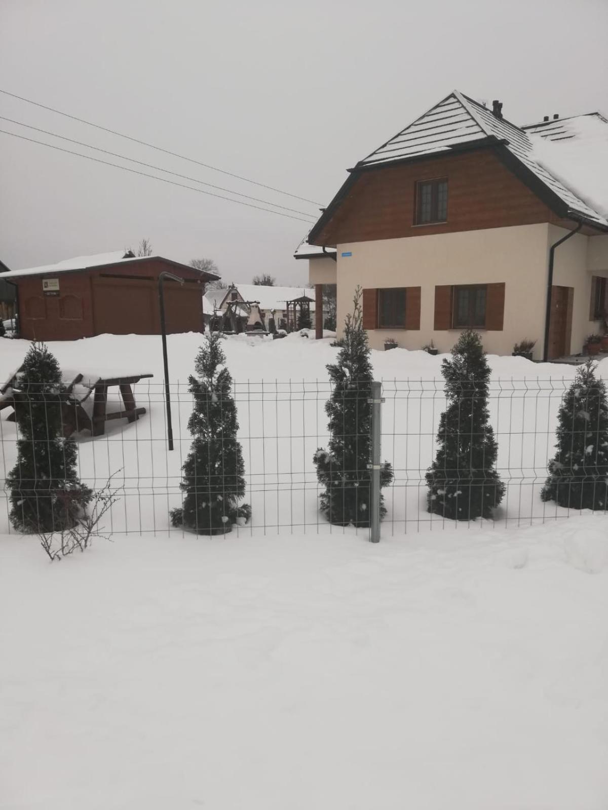 Photo 50