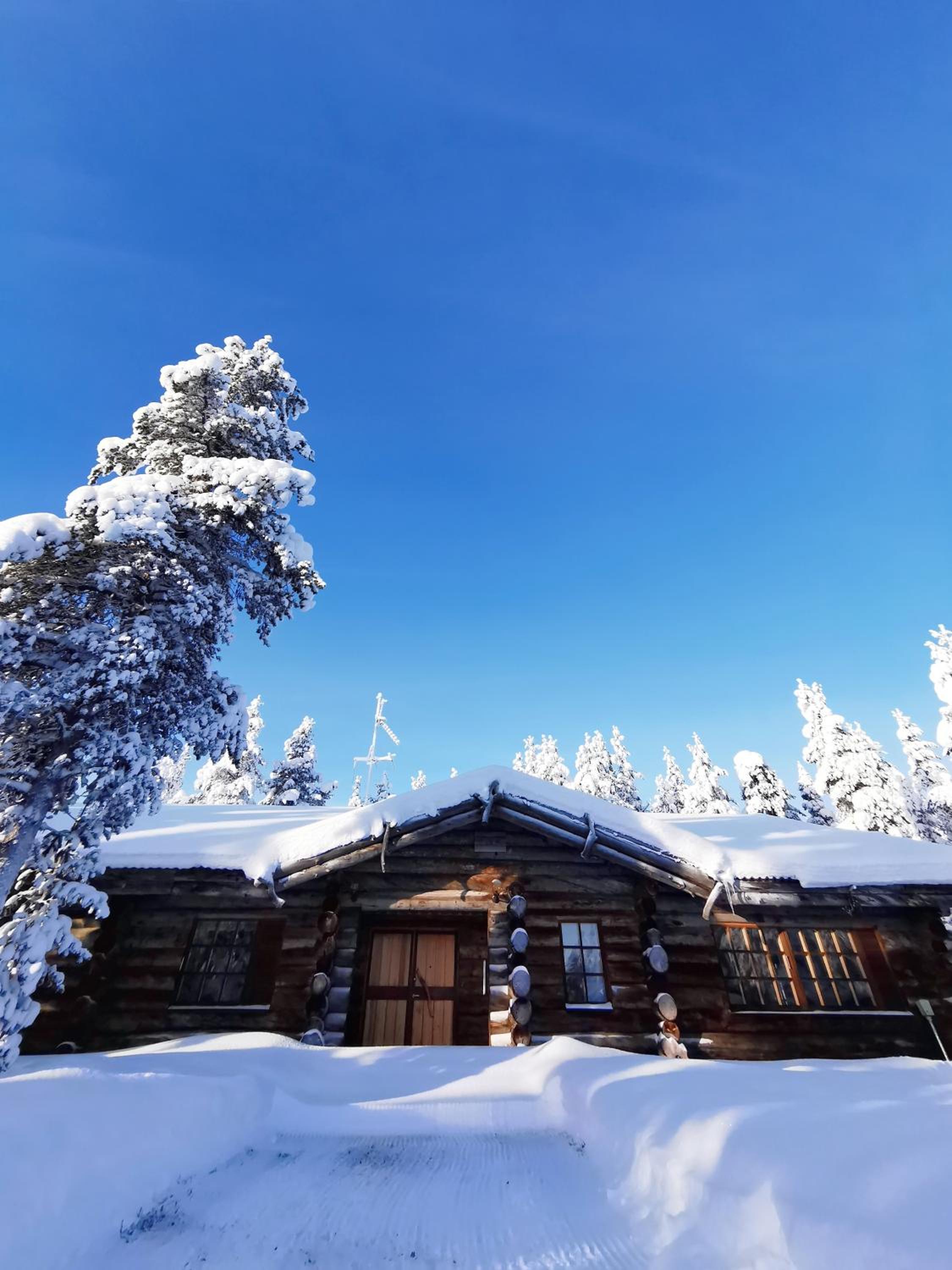Saarikejo Huskylodge