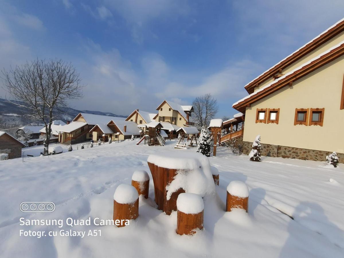 Pensiunea Valea Branzei view 5