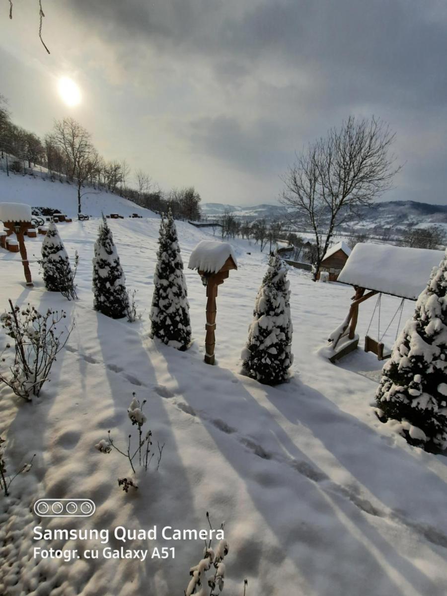 Pensiunea Valea Branzei view 3