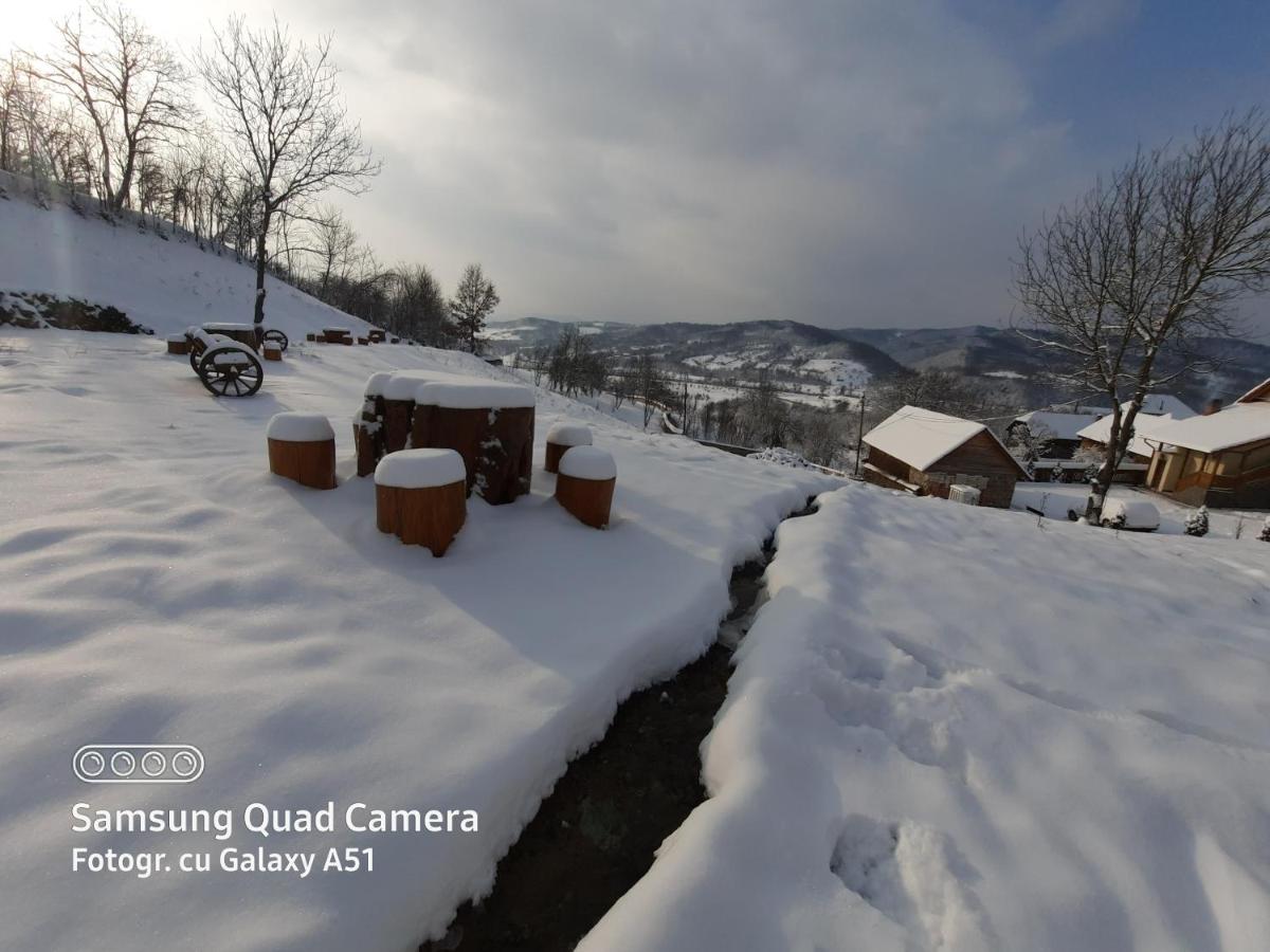 Pensiunea Valea Branzei view 4