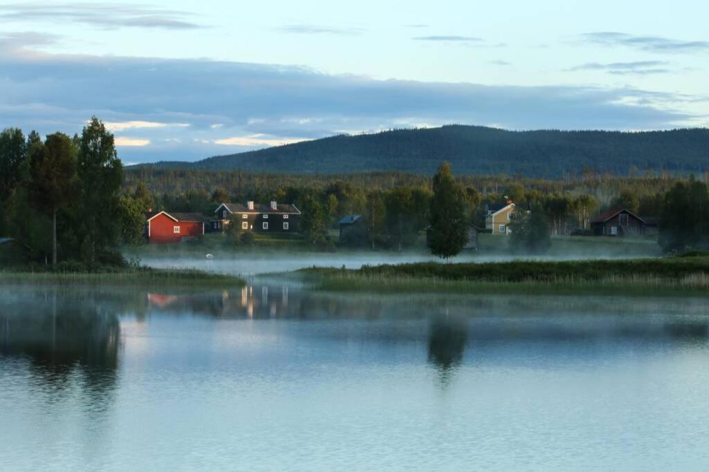Photo 44