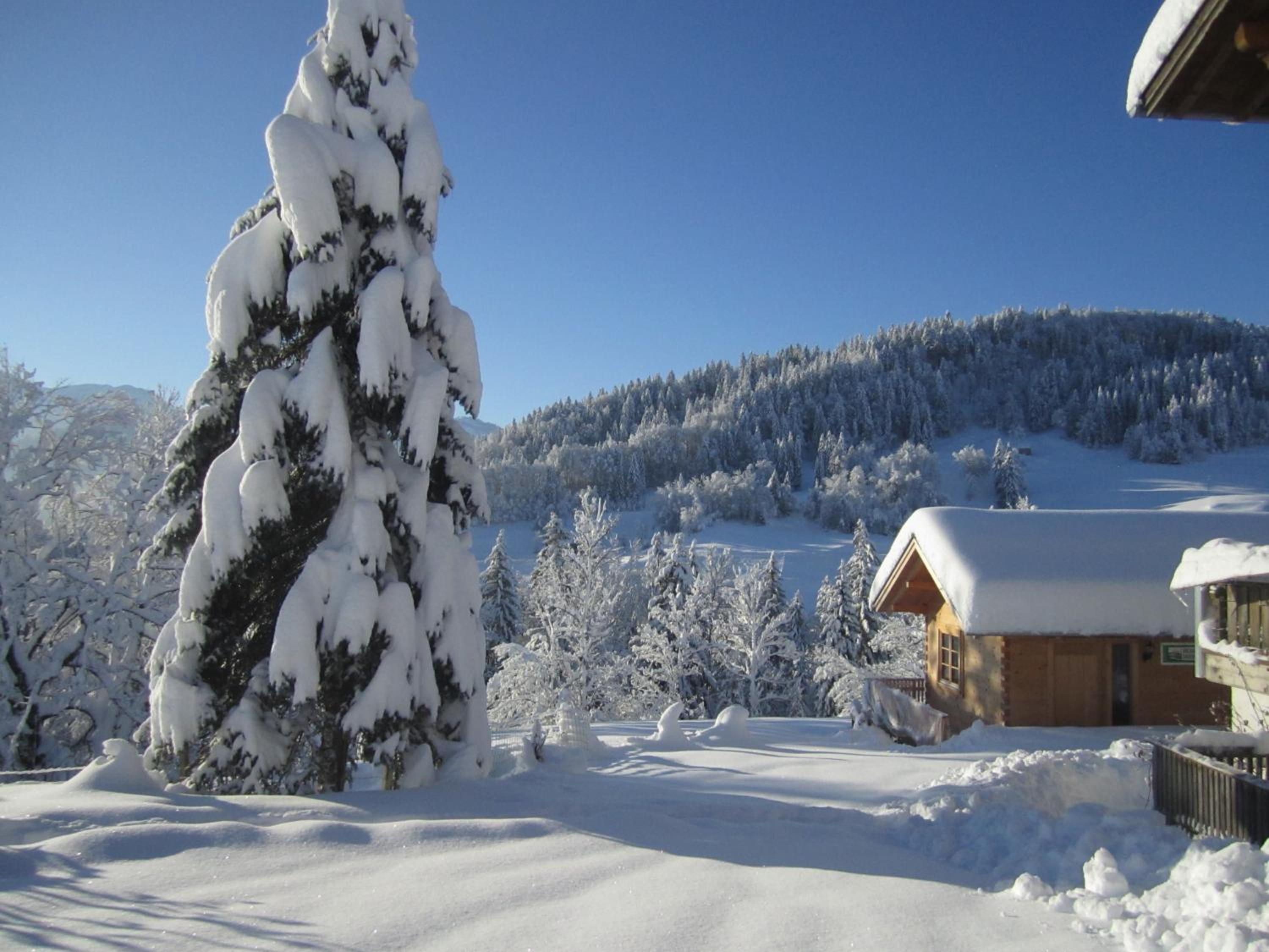Bauernhof Bilgeri