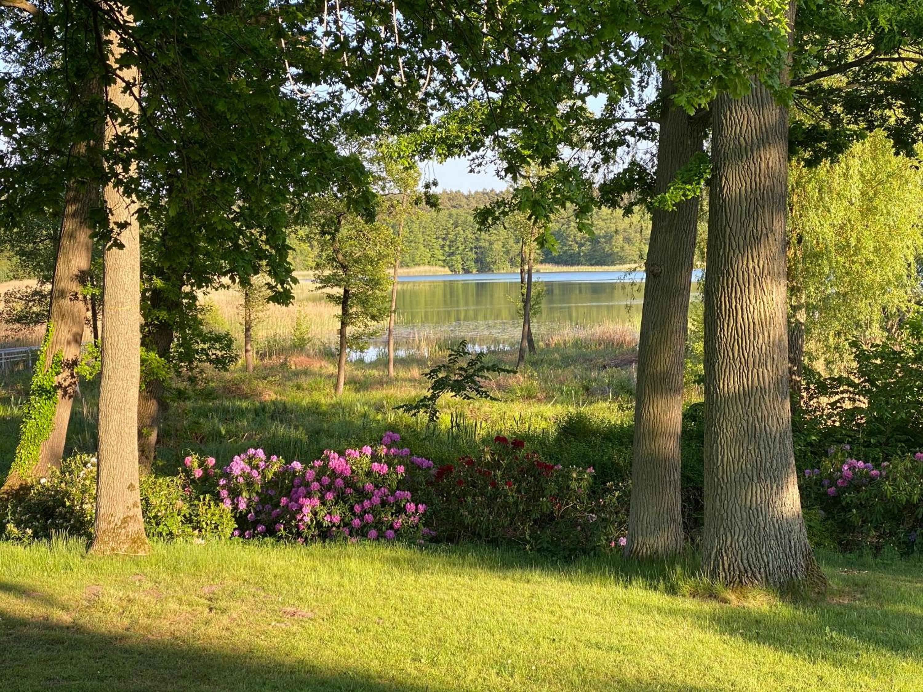 Gut Settin am See - Ferienhäuser