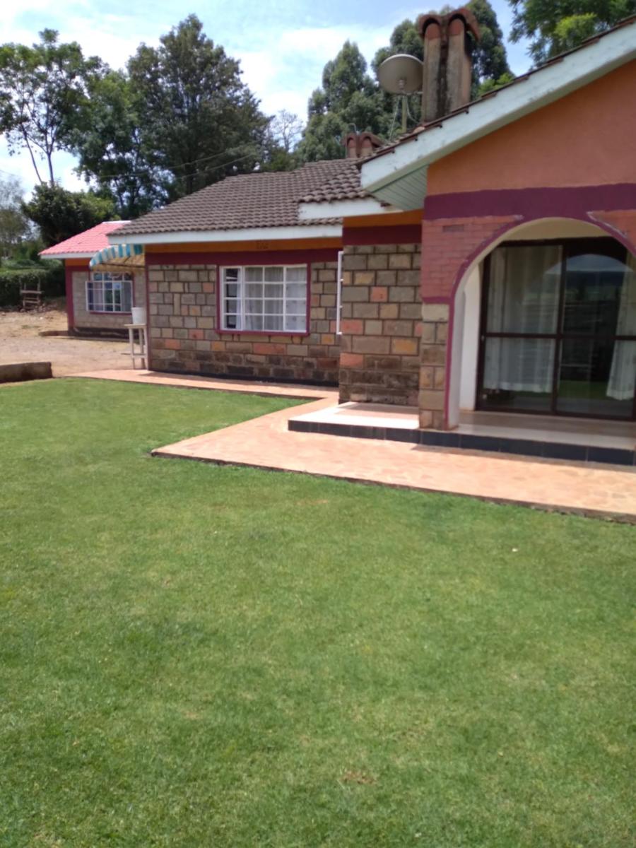 outdoor BBQ area