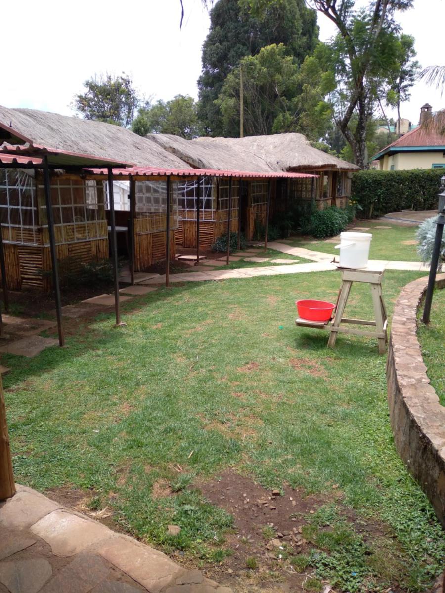 children's play area