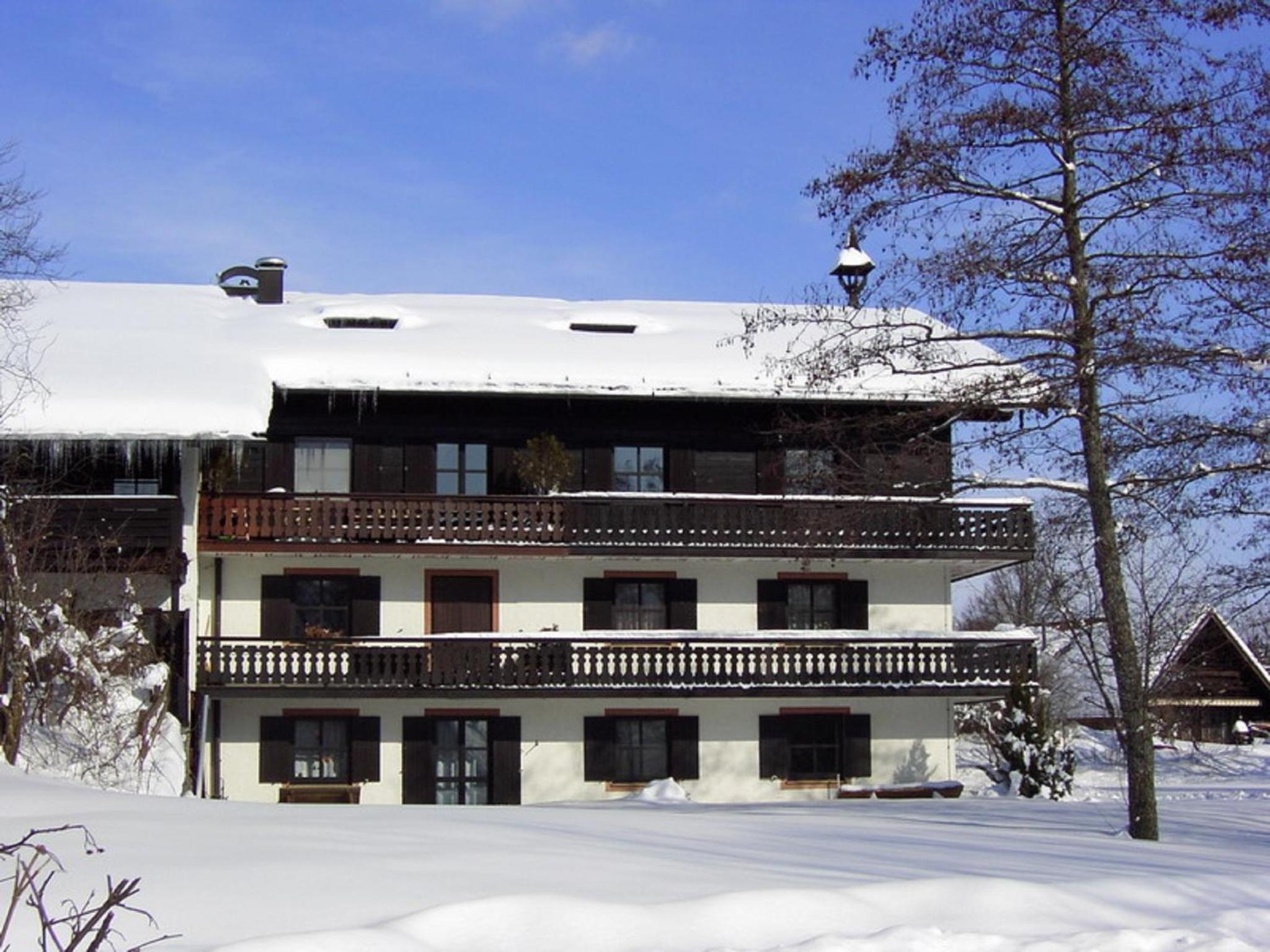 Feichtenhof