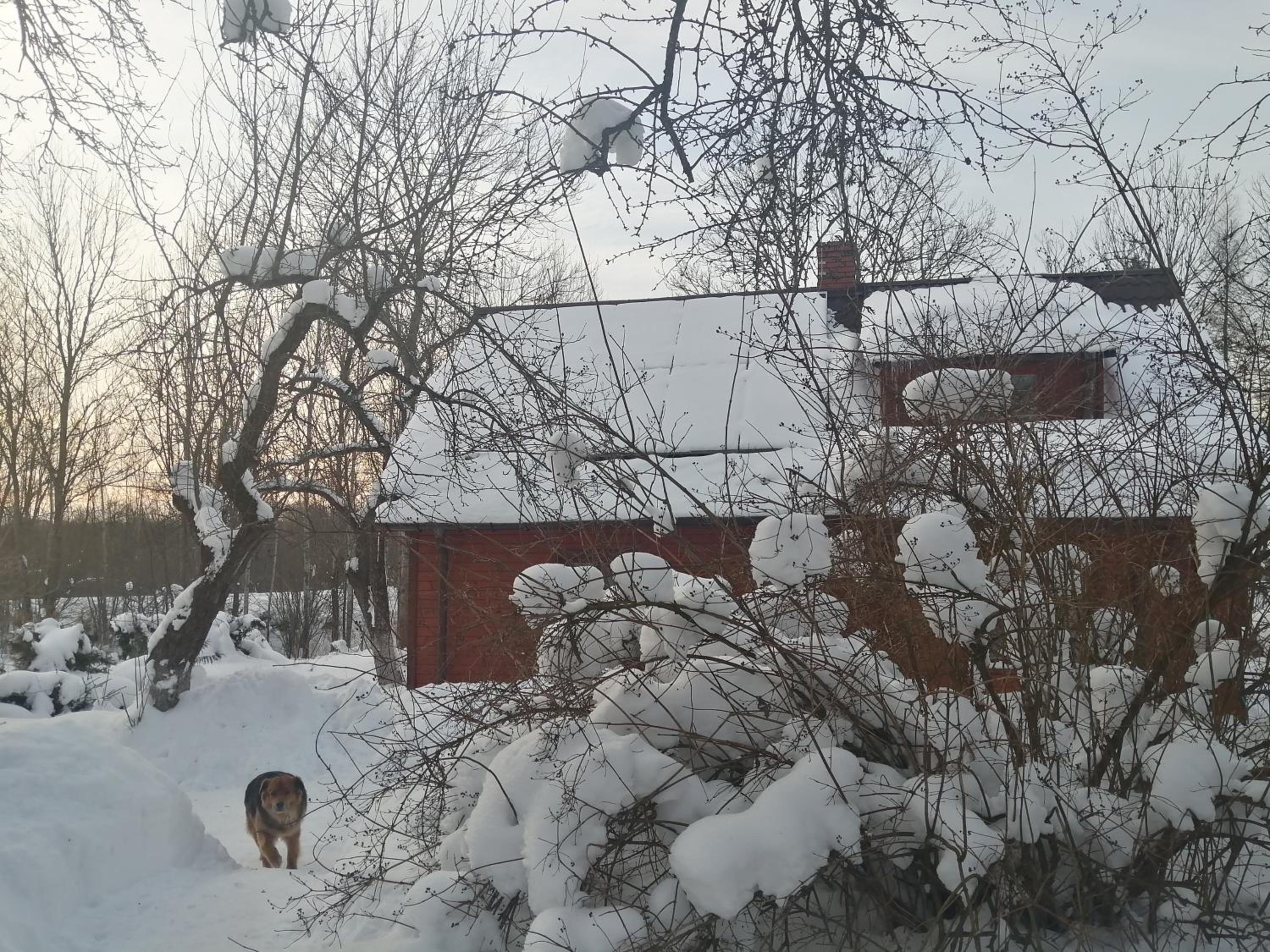 Photo 20