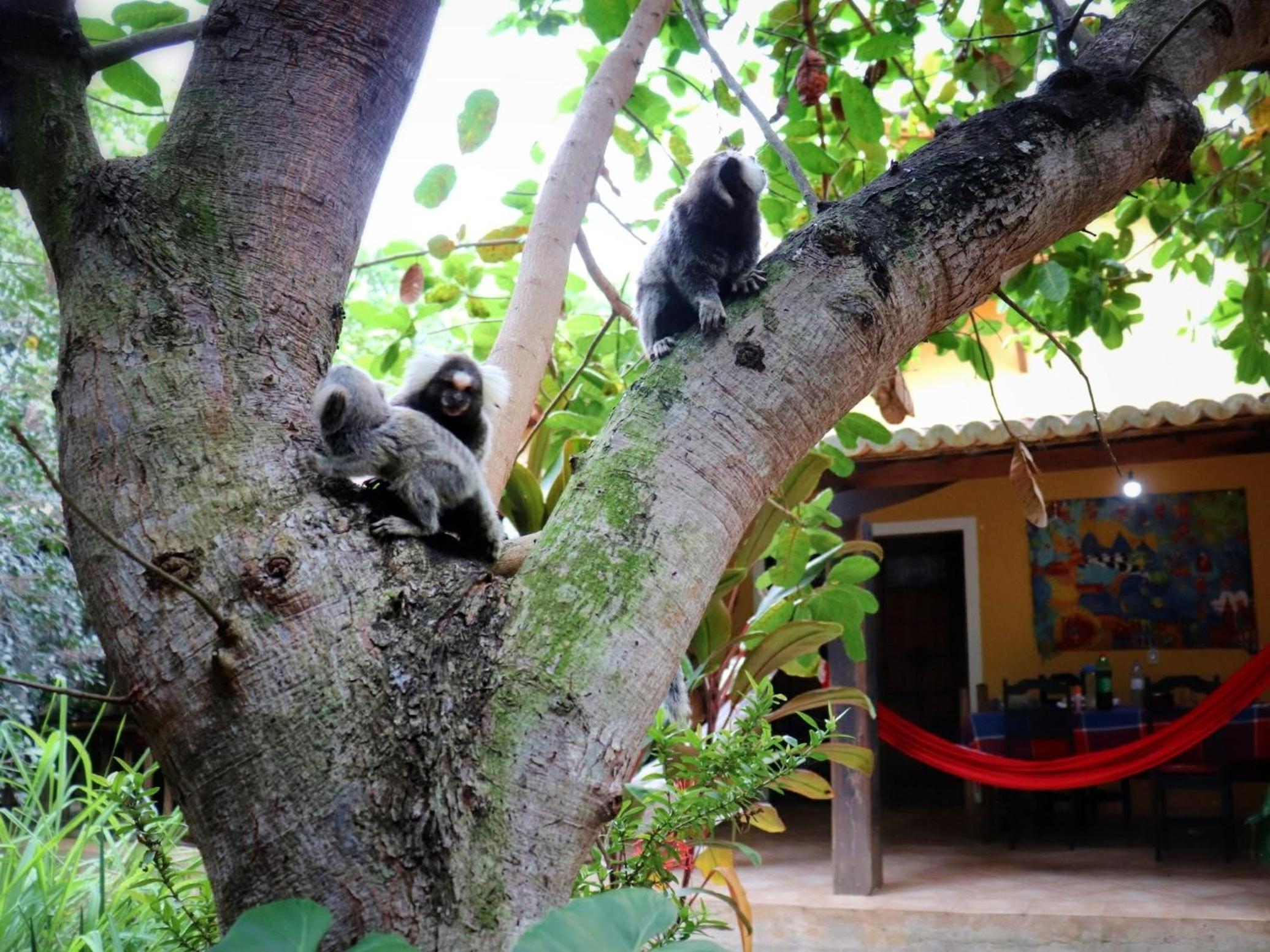 Casa Cajueiro em Pipa