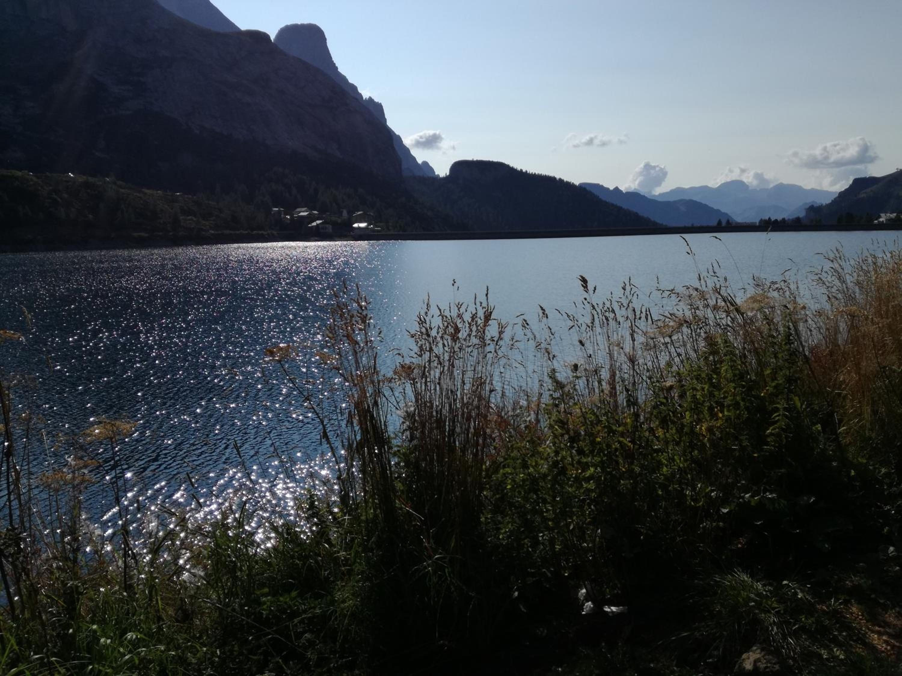 Photo 35