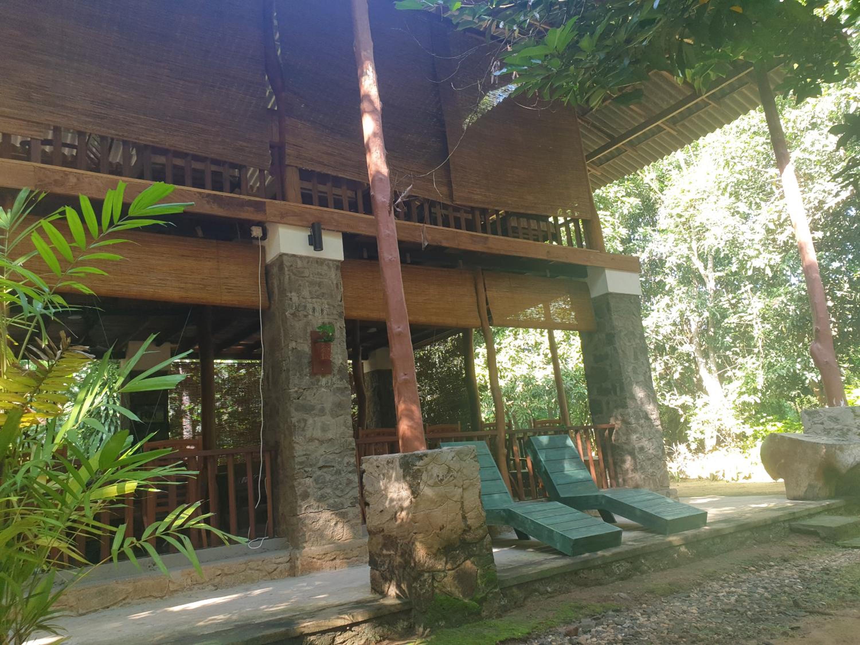 Jungle House view 5