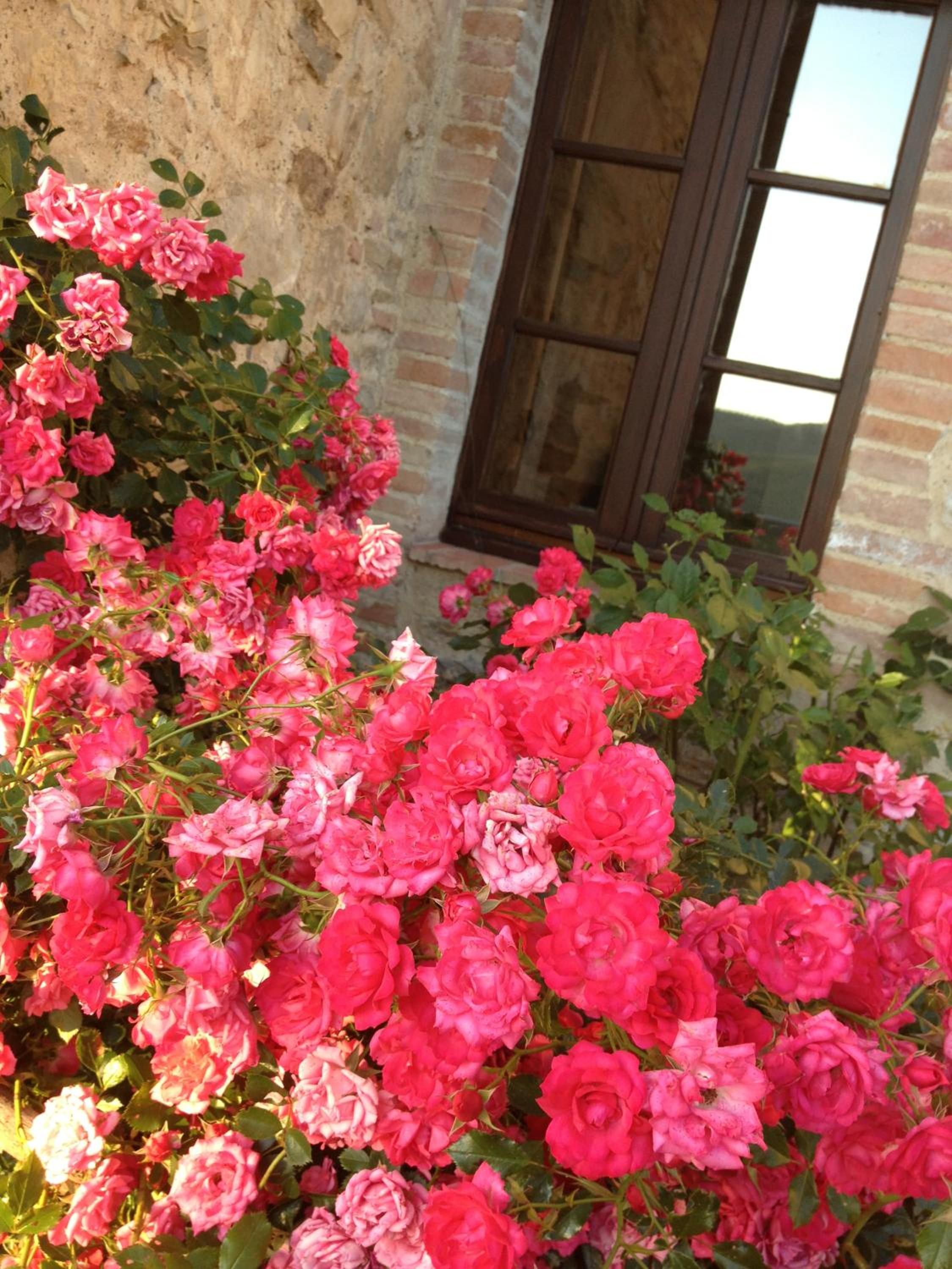 Residenzia Del Sogno