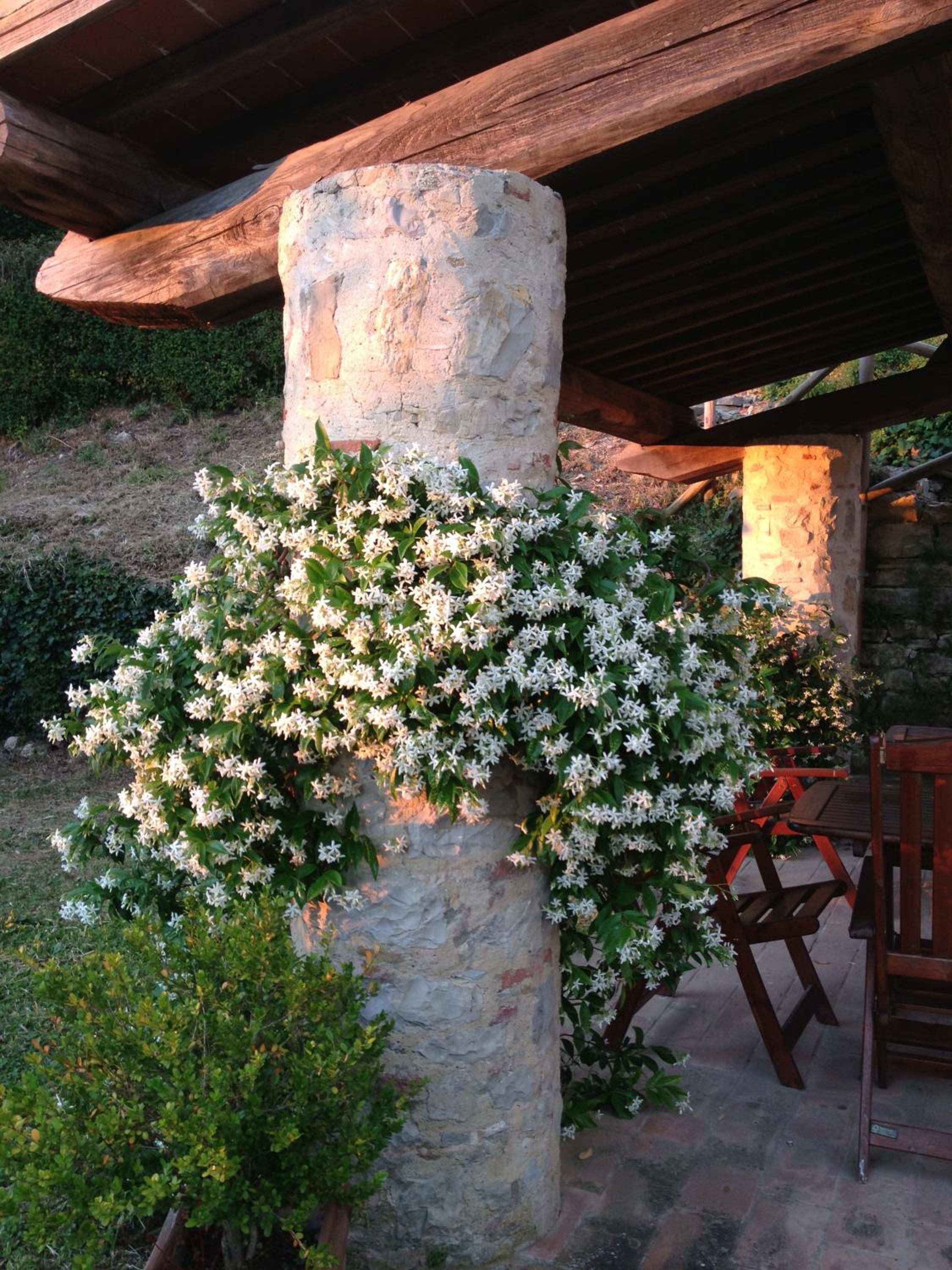 Residenzia Del Sogno