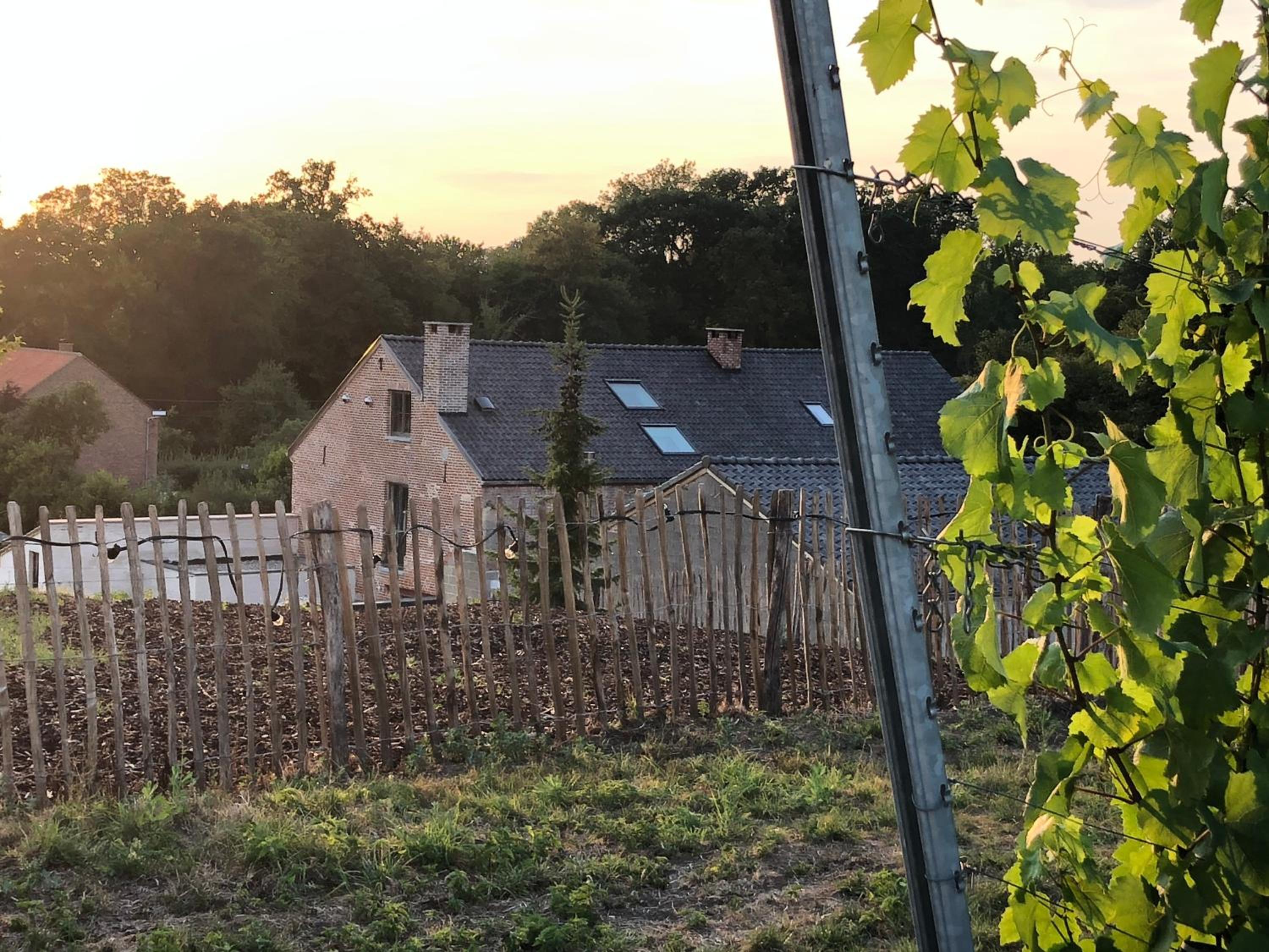 B & B De Romeinse Katzei