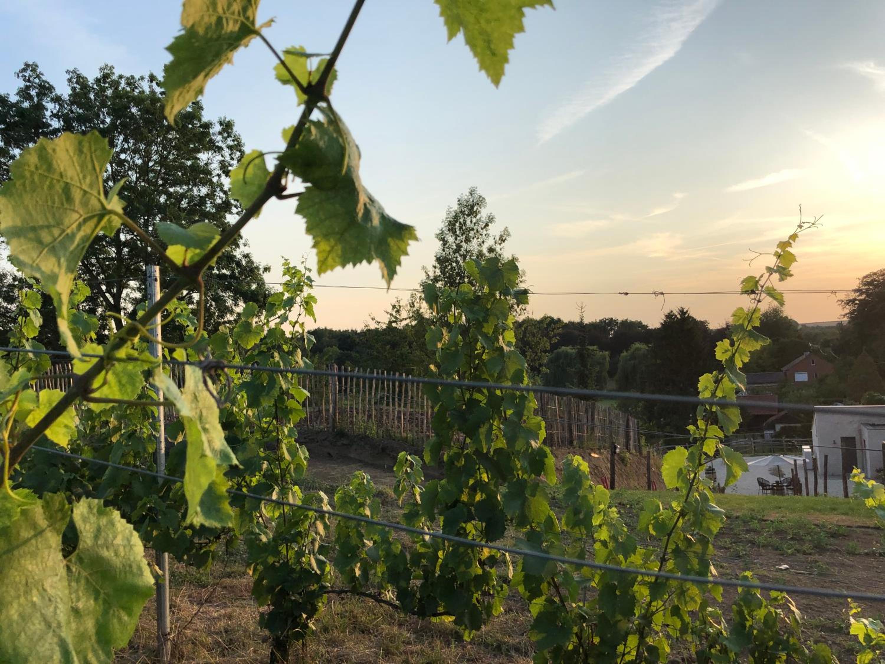 B & B De Romeinse Katzei
