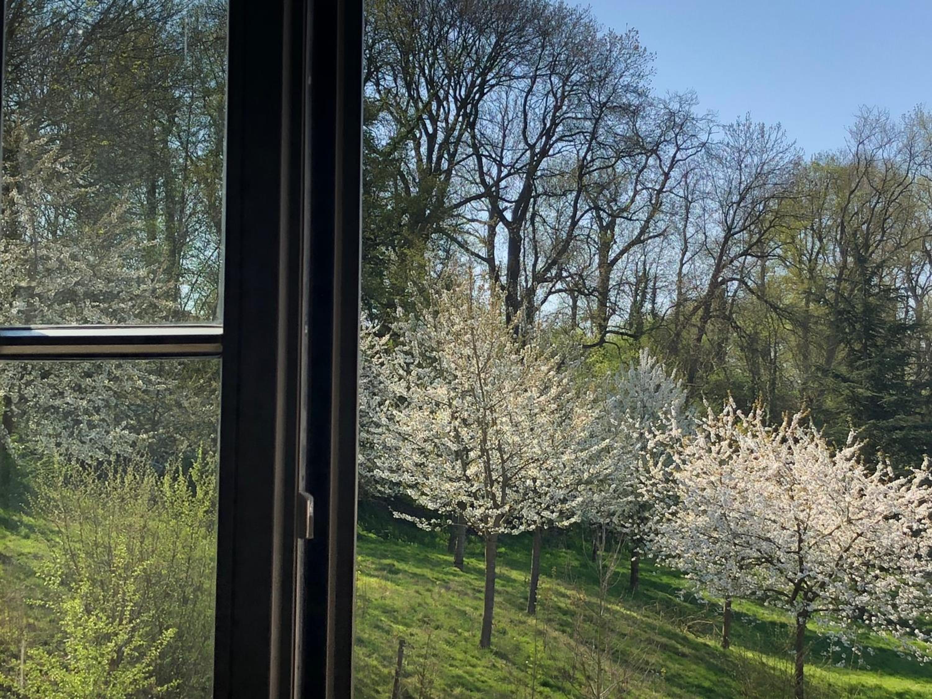 B & B De Romeinse Katzei