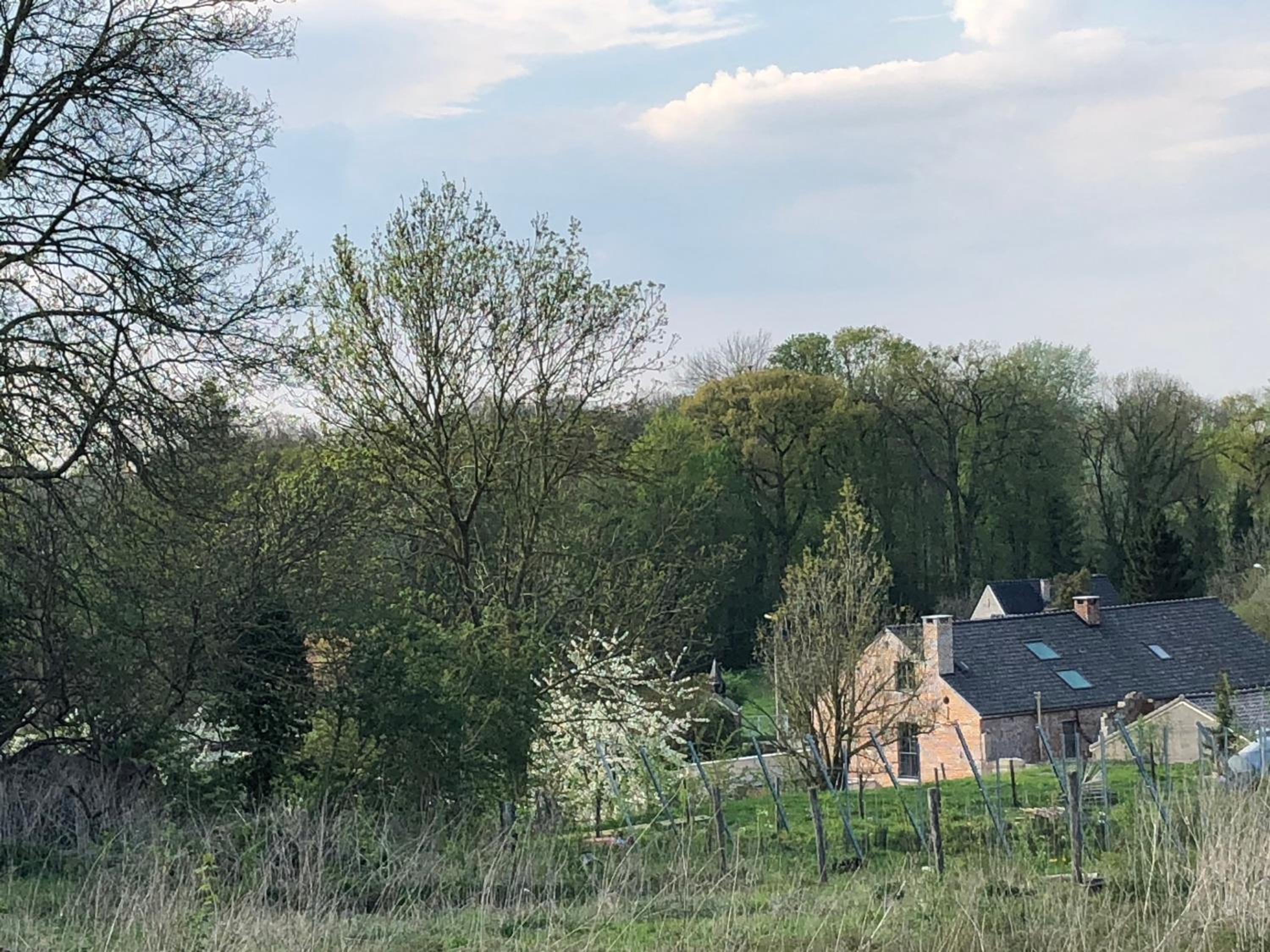 B & B De Romeinse Katzei