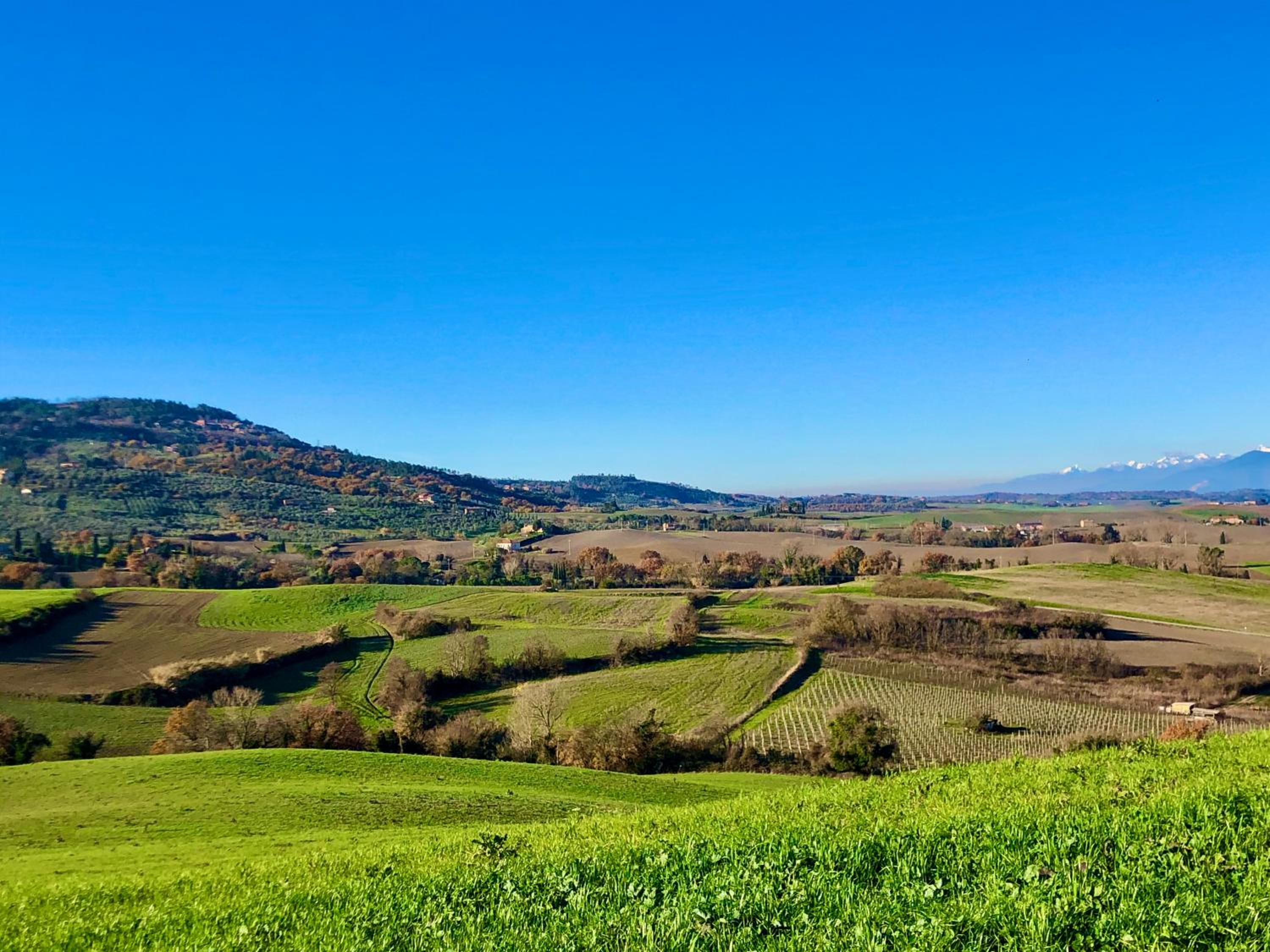 Podere Ostoncino