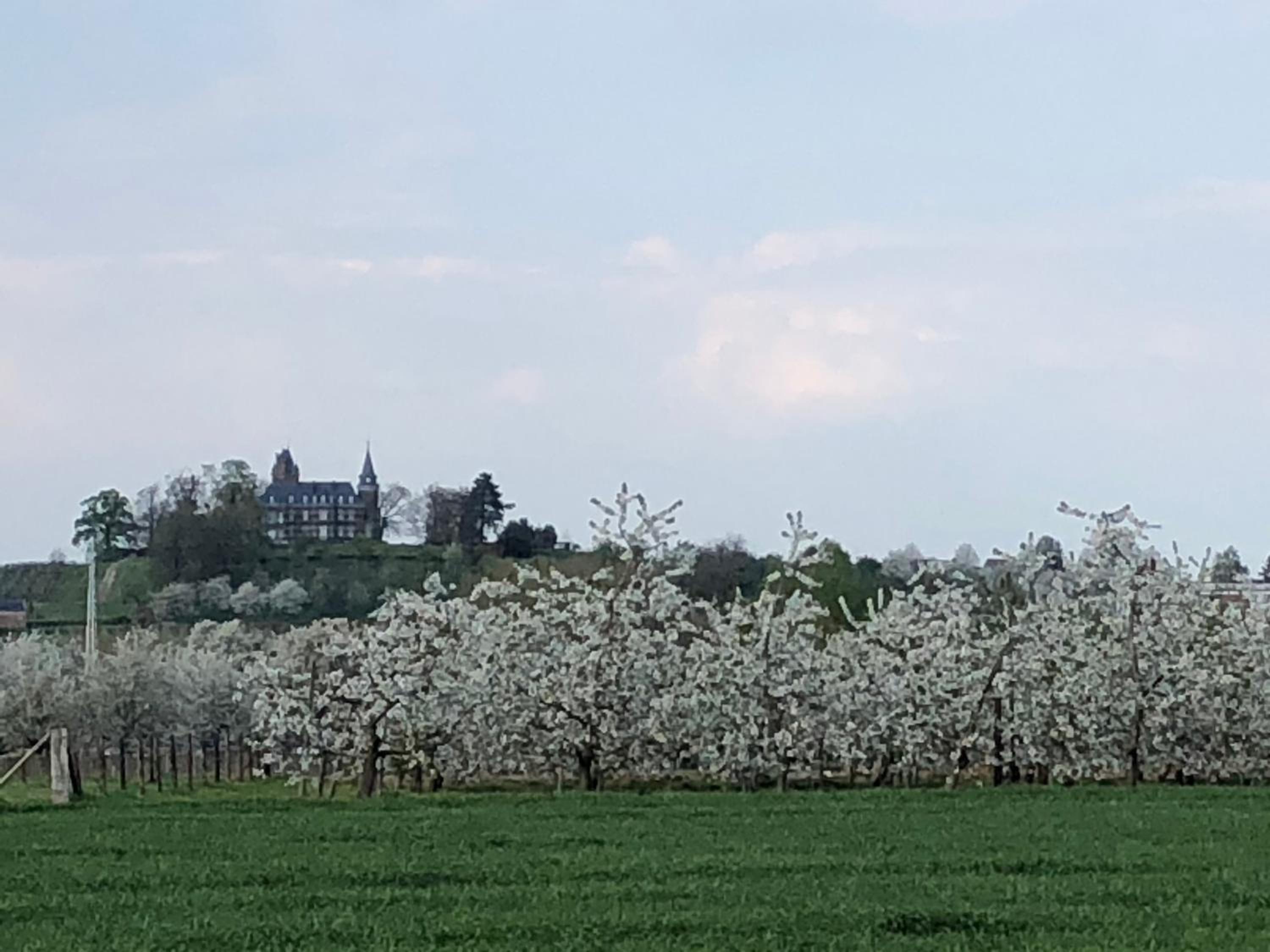 B & B De Romeinse Katzei