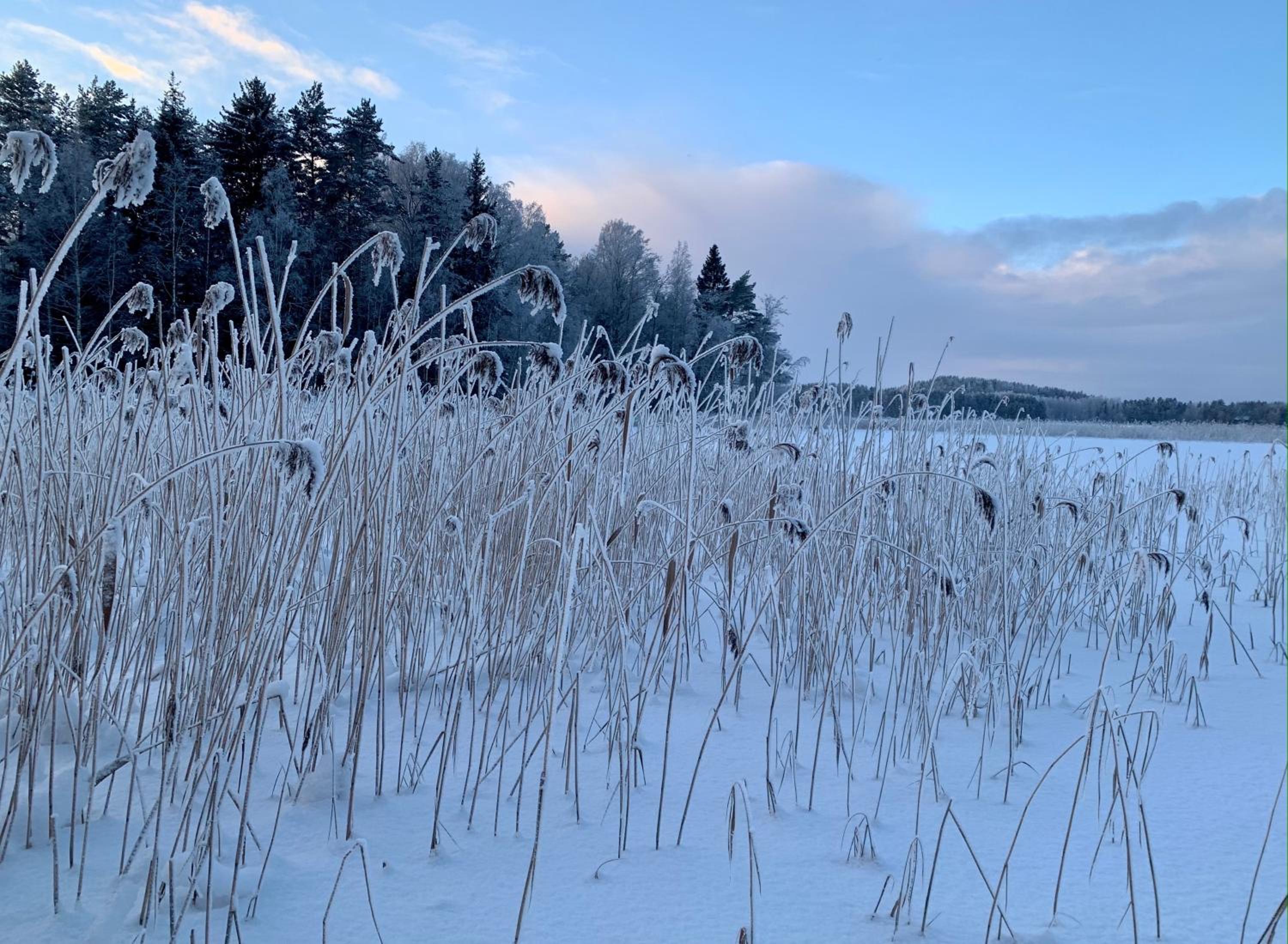 Blueberry Villa at Saimaa Lakeside