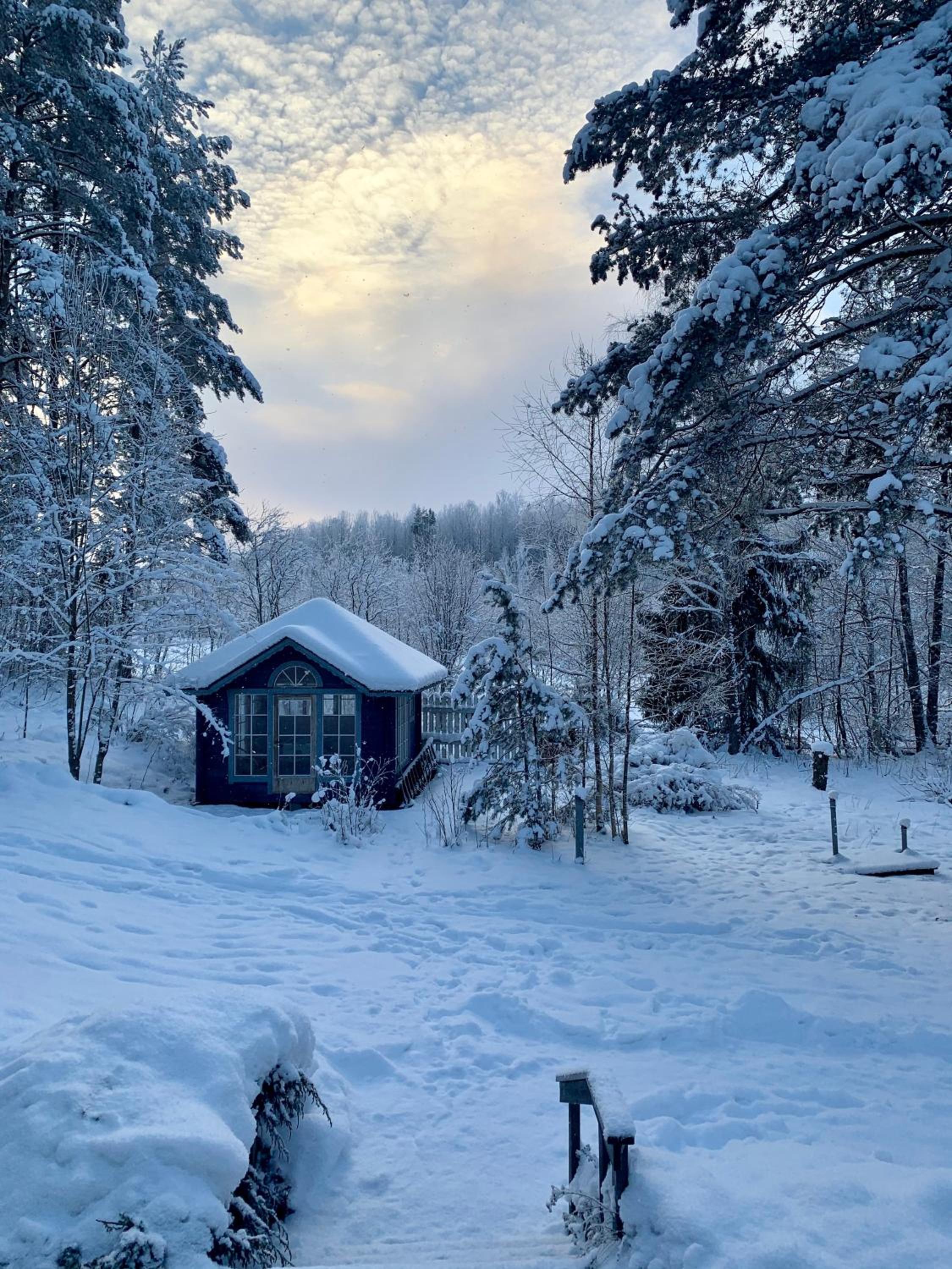Blueberry Villa at Saimaa Lakeside