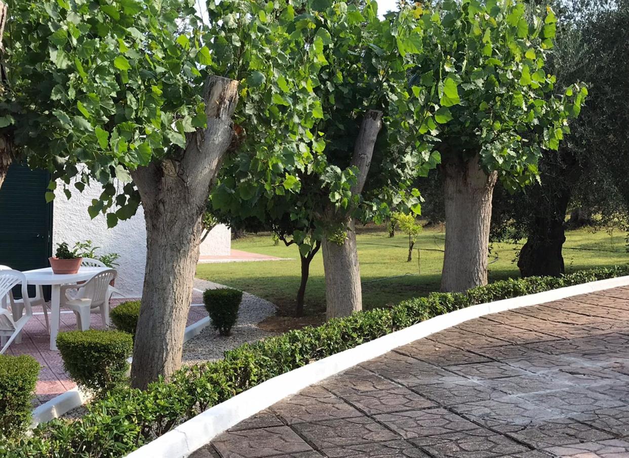 Villa Il Carrubo - Basilicata view 4